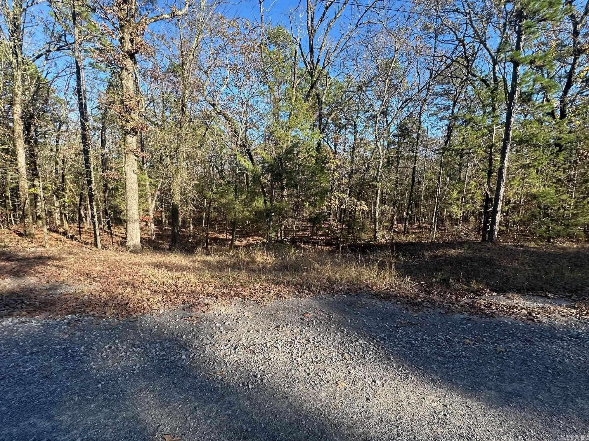 65 Jimmerson Road Property Photo 1