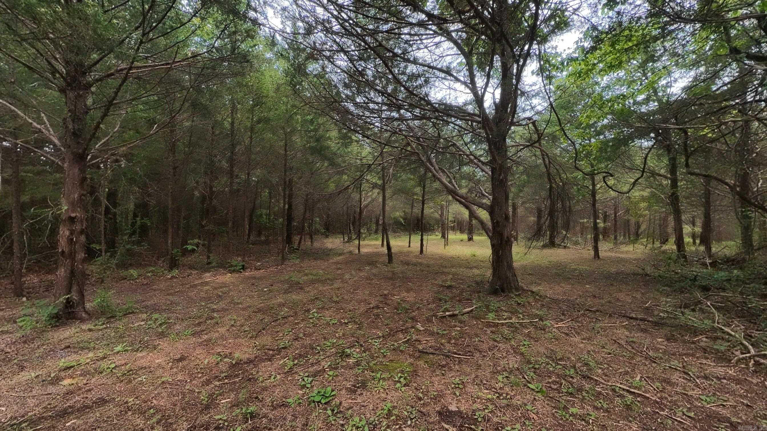 3261 N Camp Creek Road Property Photo 18