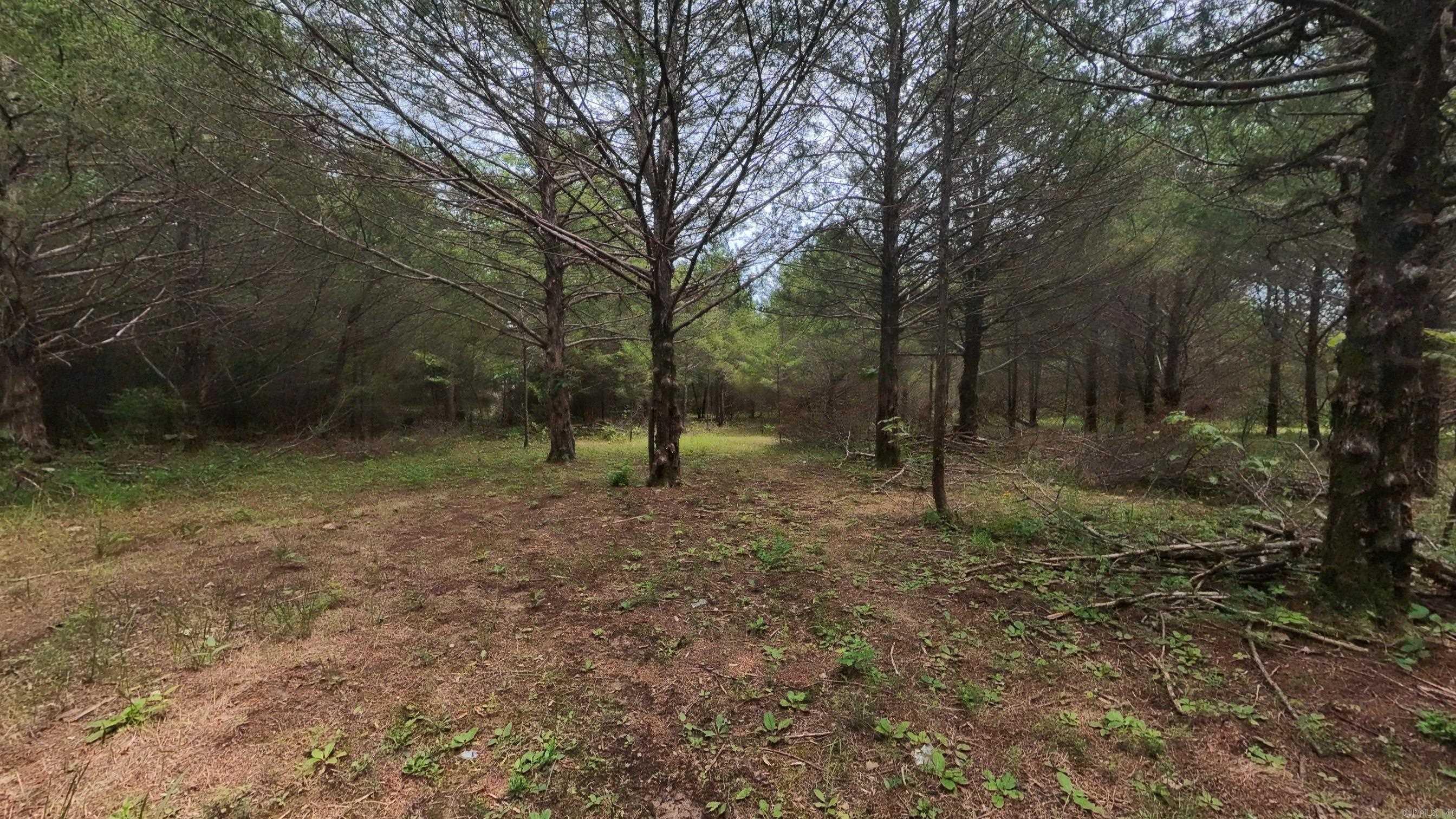 3261 N Camp Creek Road Property Photo 21