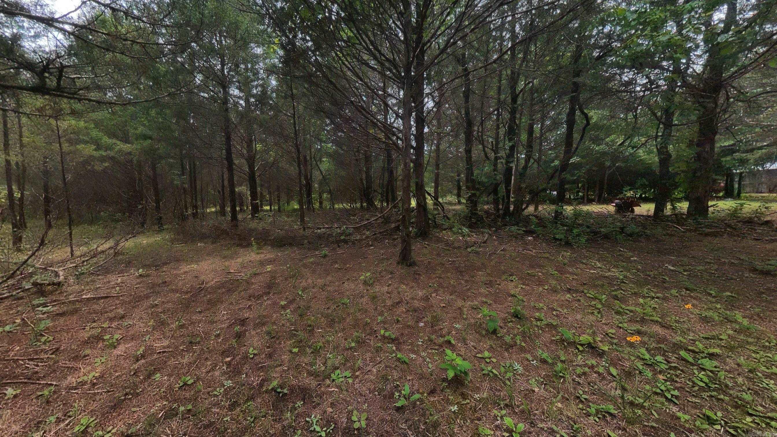 3261 N Camp Creek Road Property Photo 22