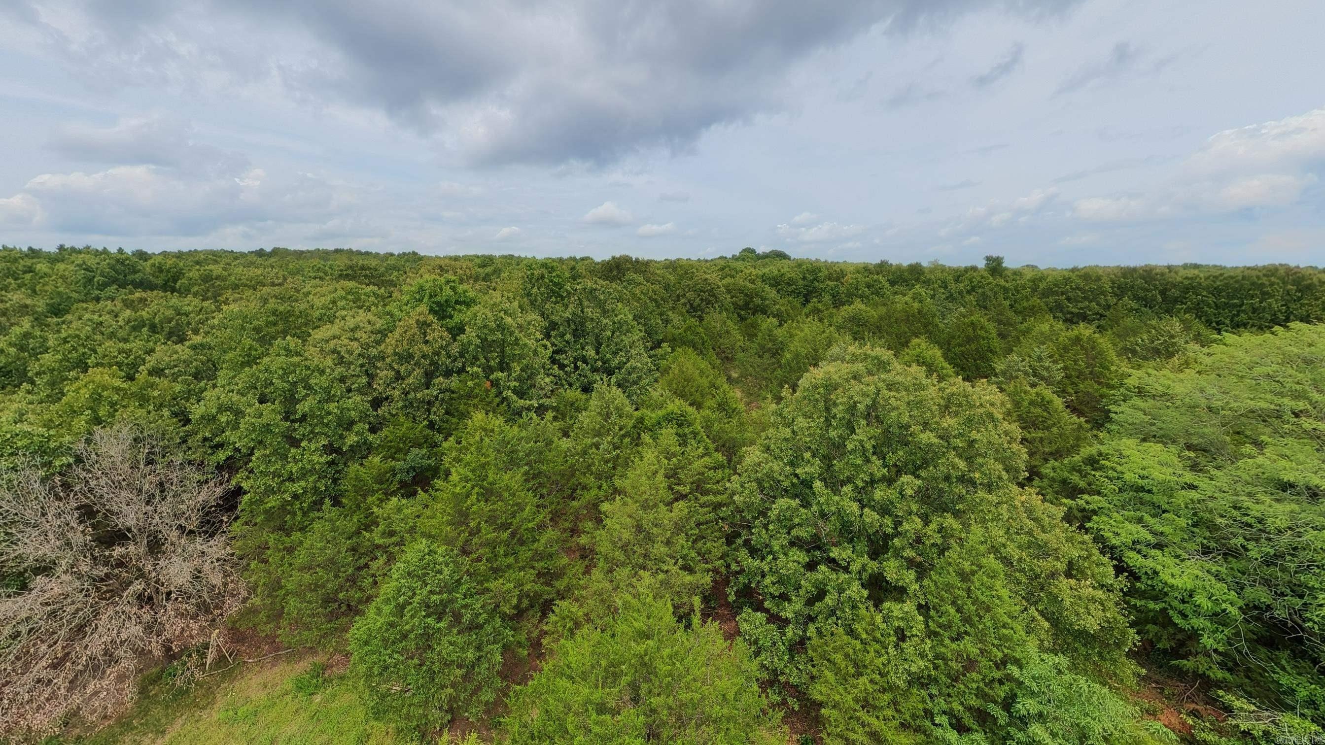 3261 N Camp Creek Road Property Photo 35