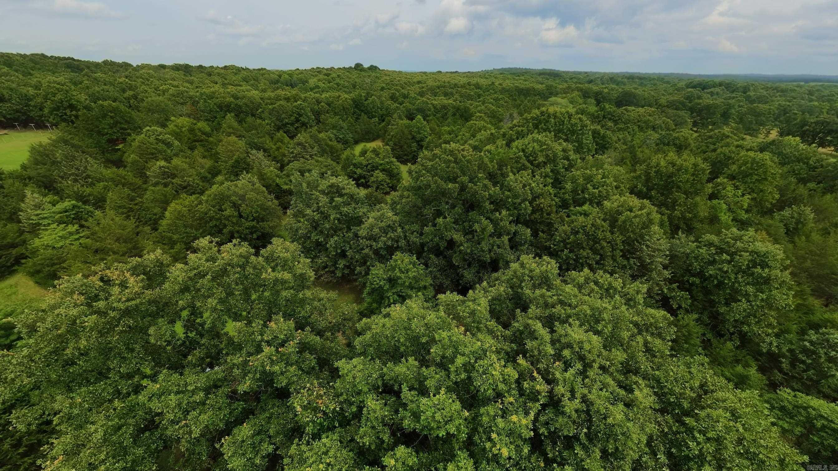 3261 N Camp Creek Road Property Photo 39