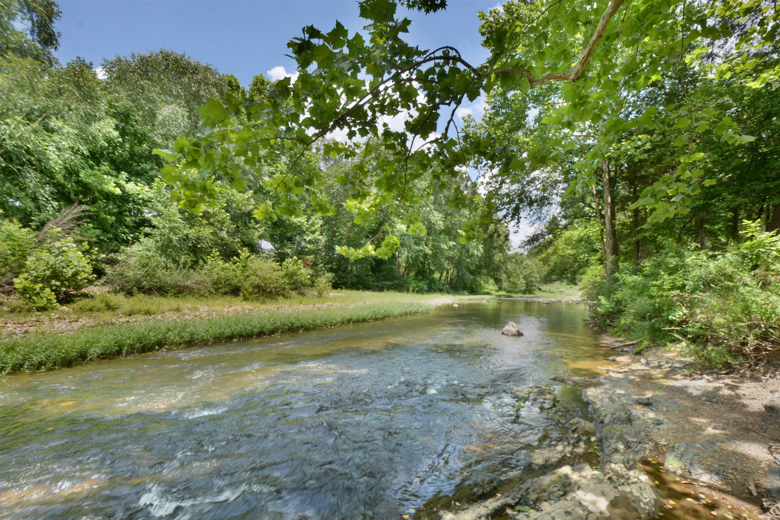335 Ware Trail Property Photo 6