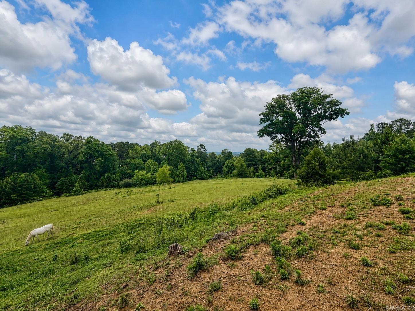 1374 Highway 317 Property Photo 37