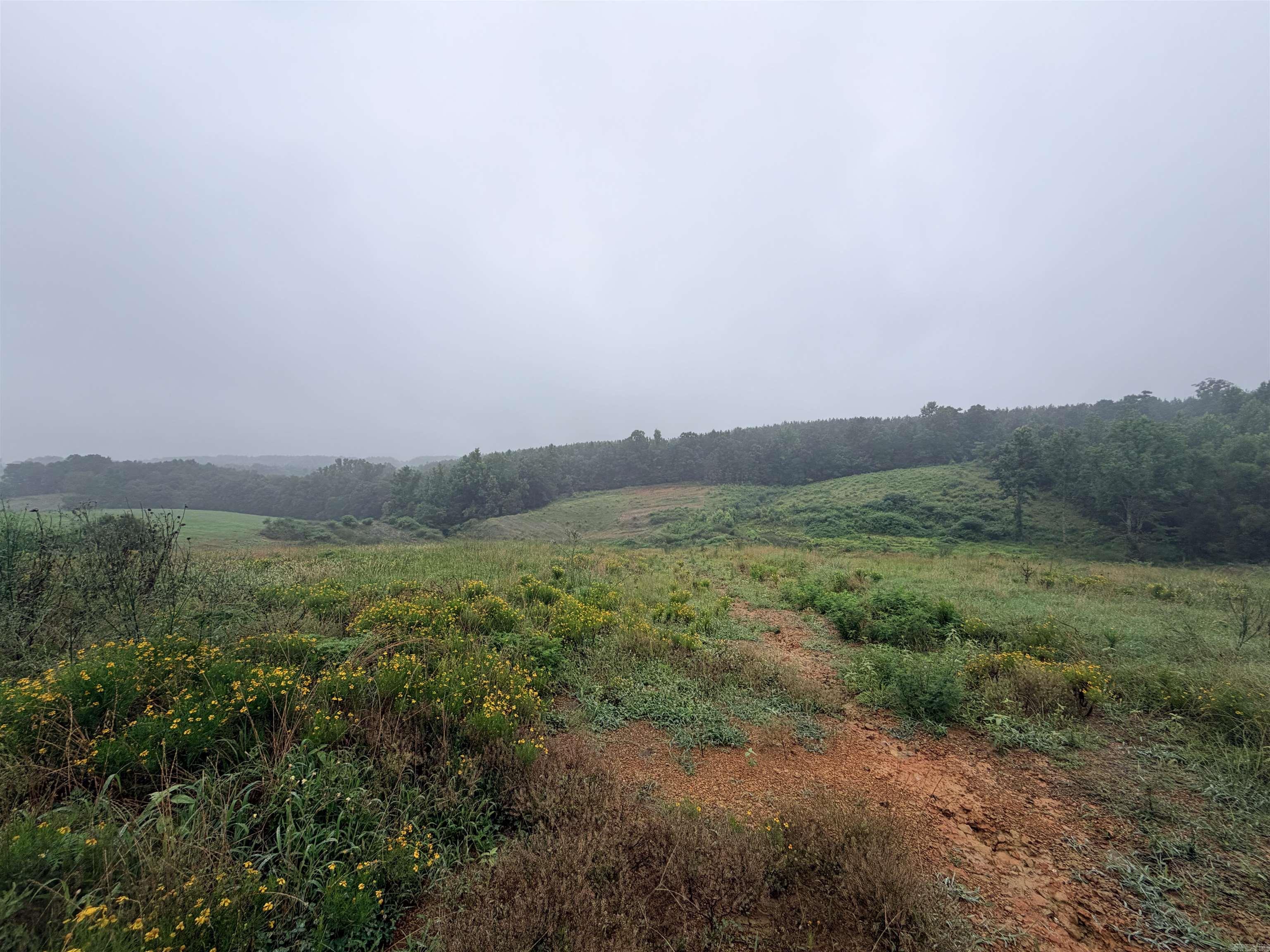 520 Frachiseur Road Property Photo 18