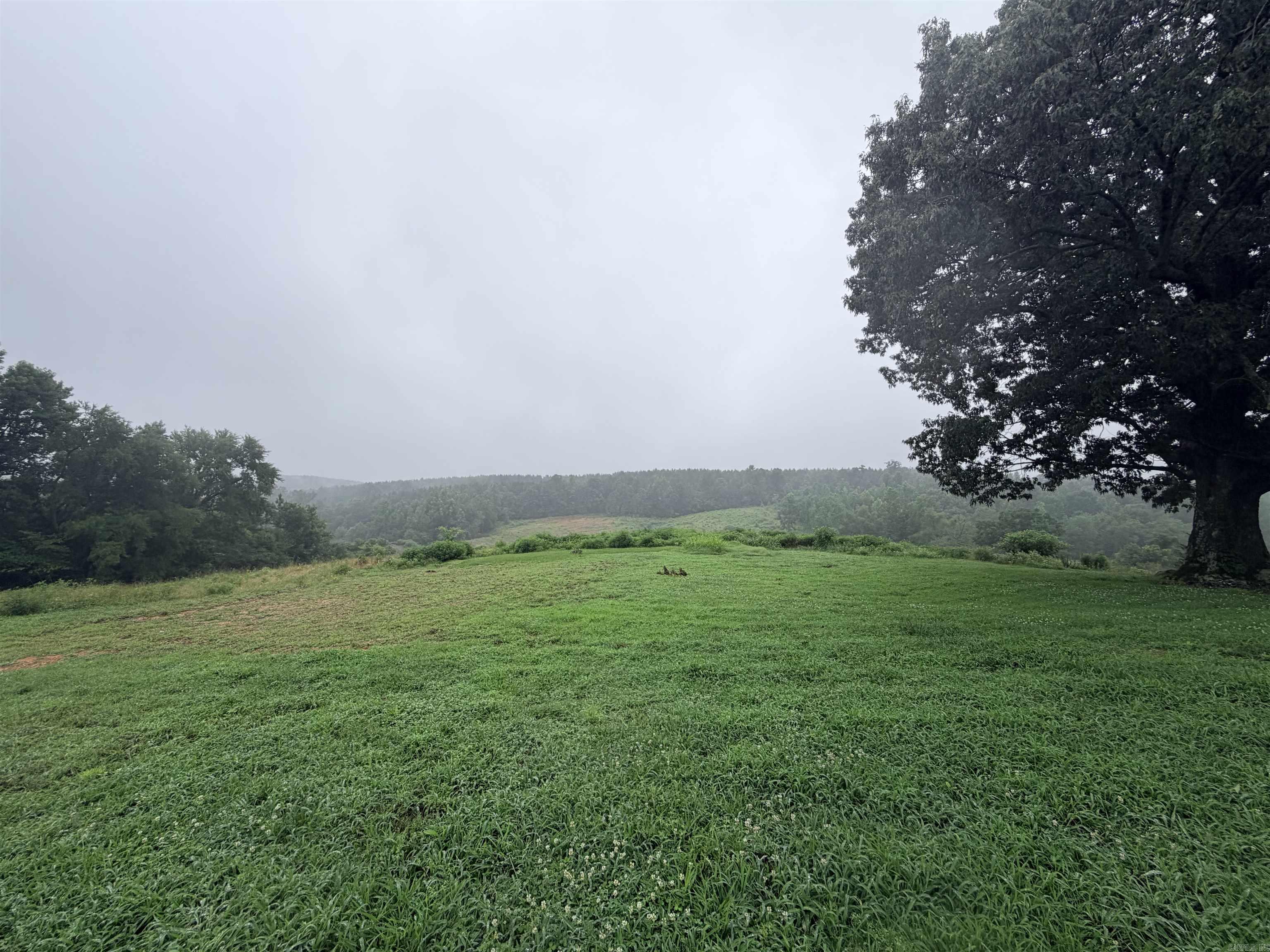 520 Frachiseur Road Property Photo 19