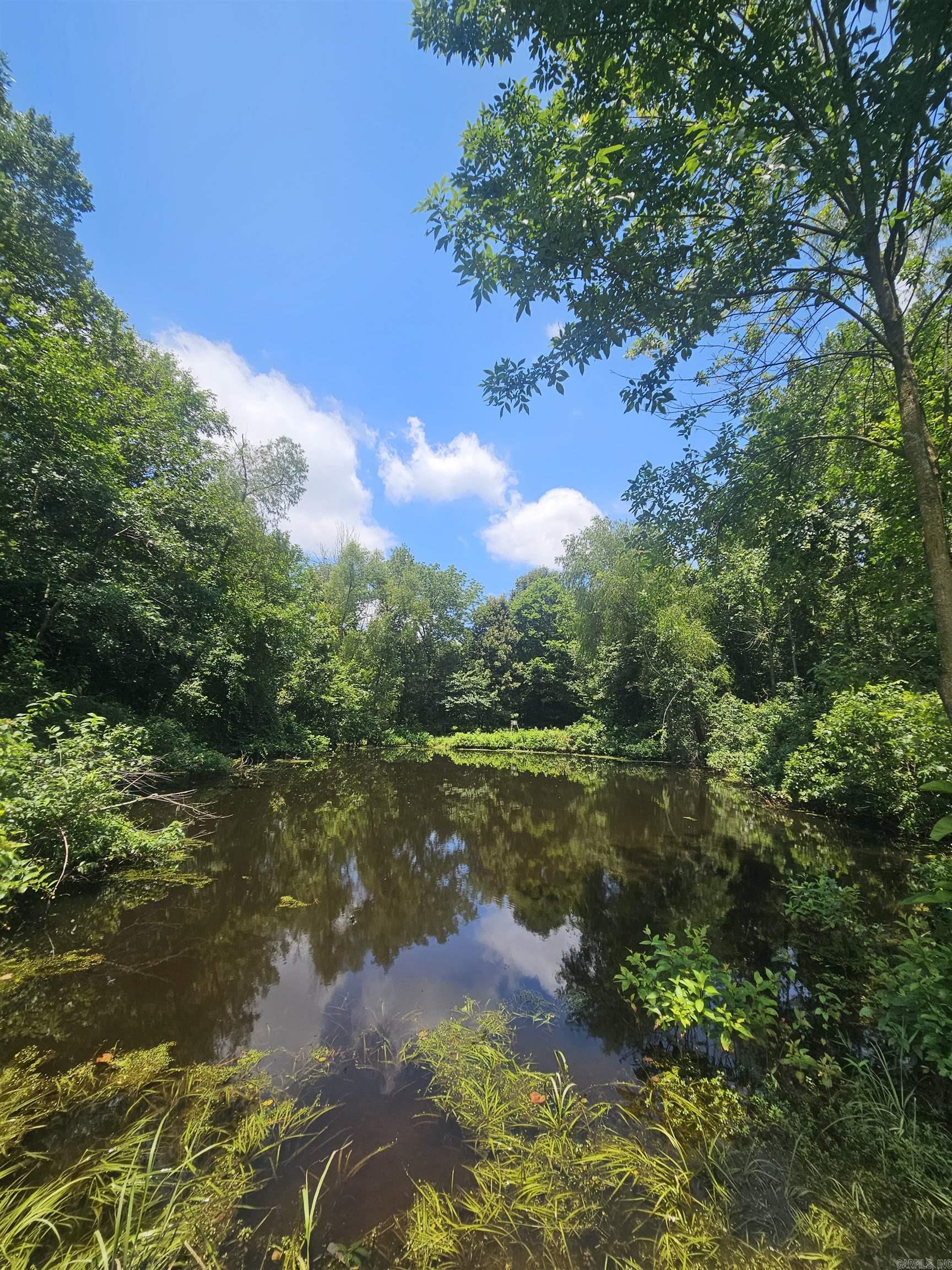 453 Westbrook Road Property Photo 17