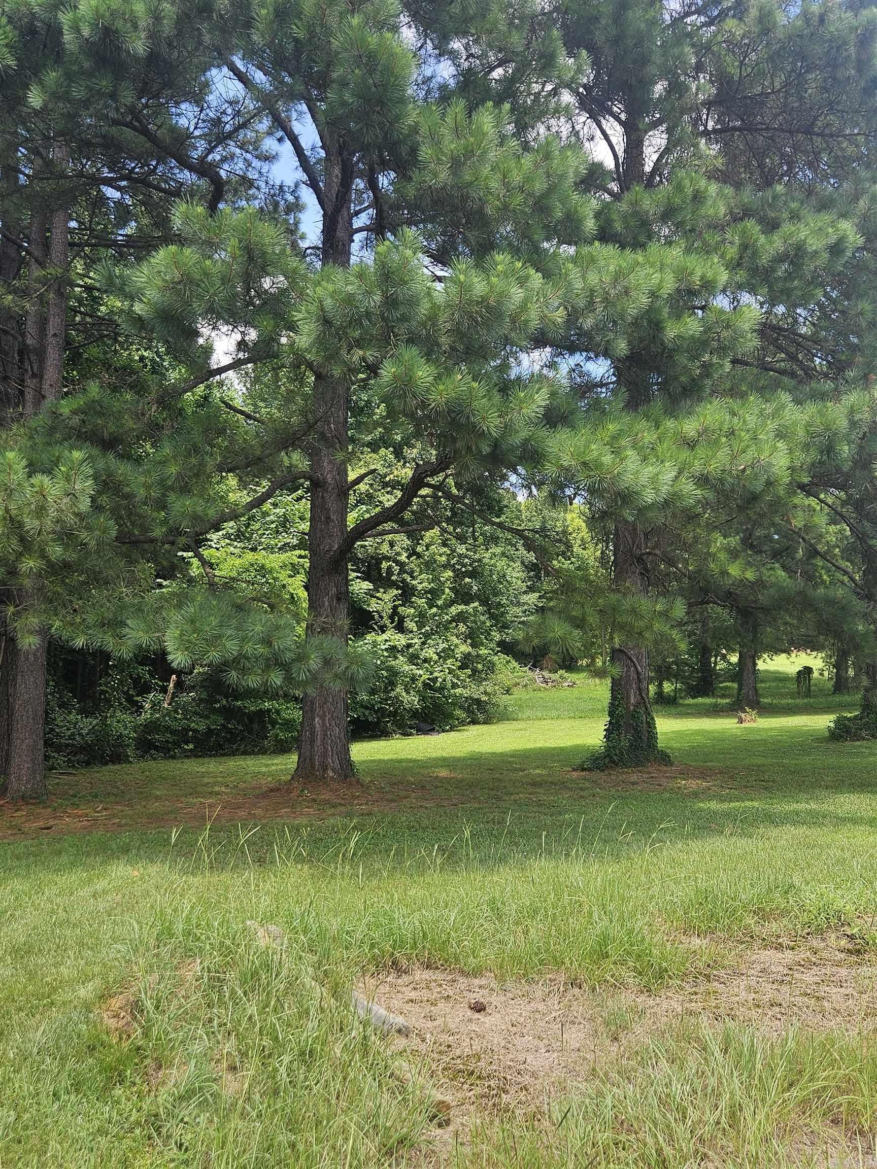453 Westbrook Road Property Photo 18