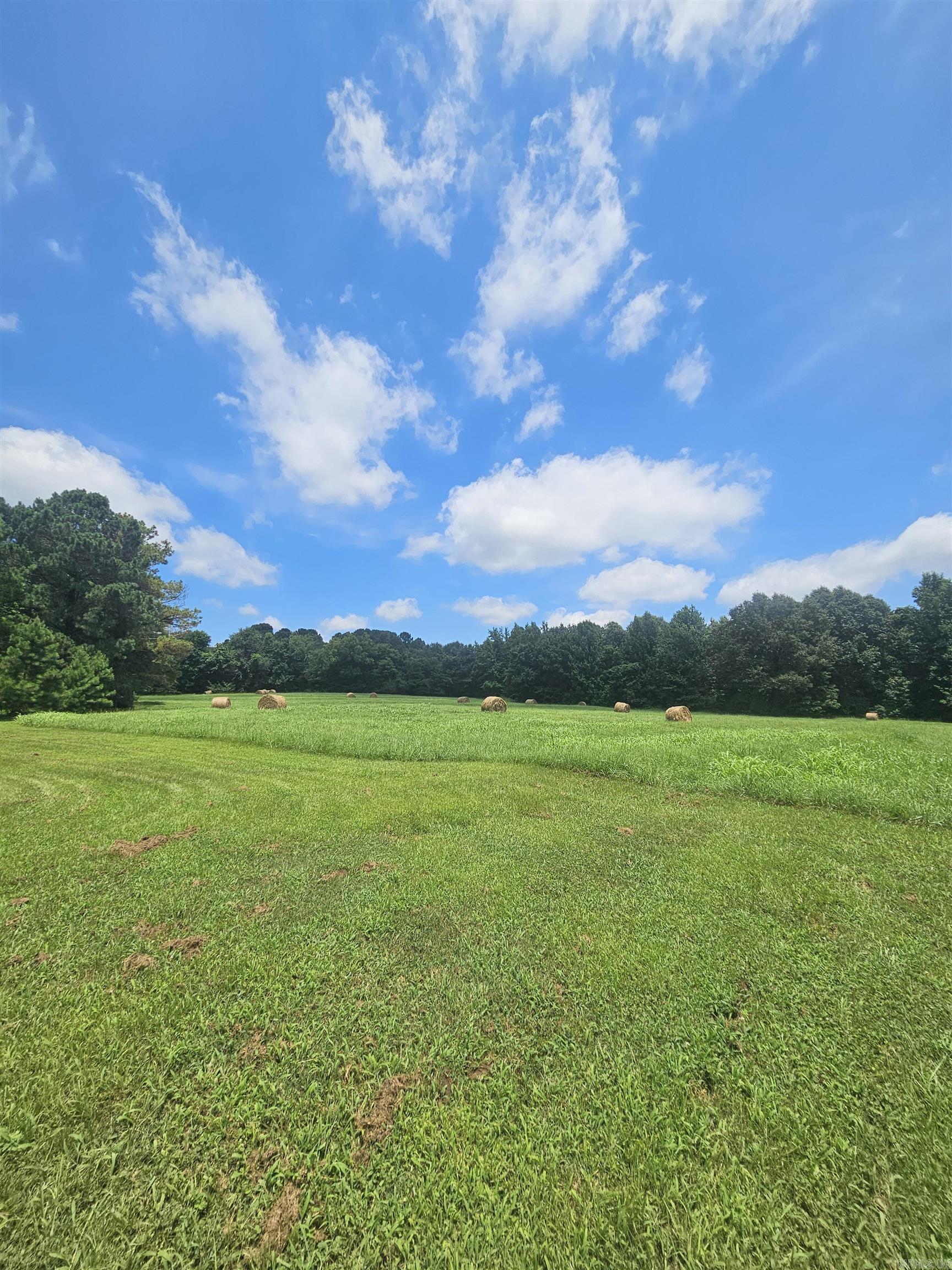 453 Westbrook Road Property Photo 19