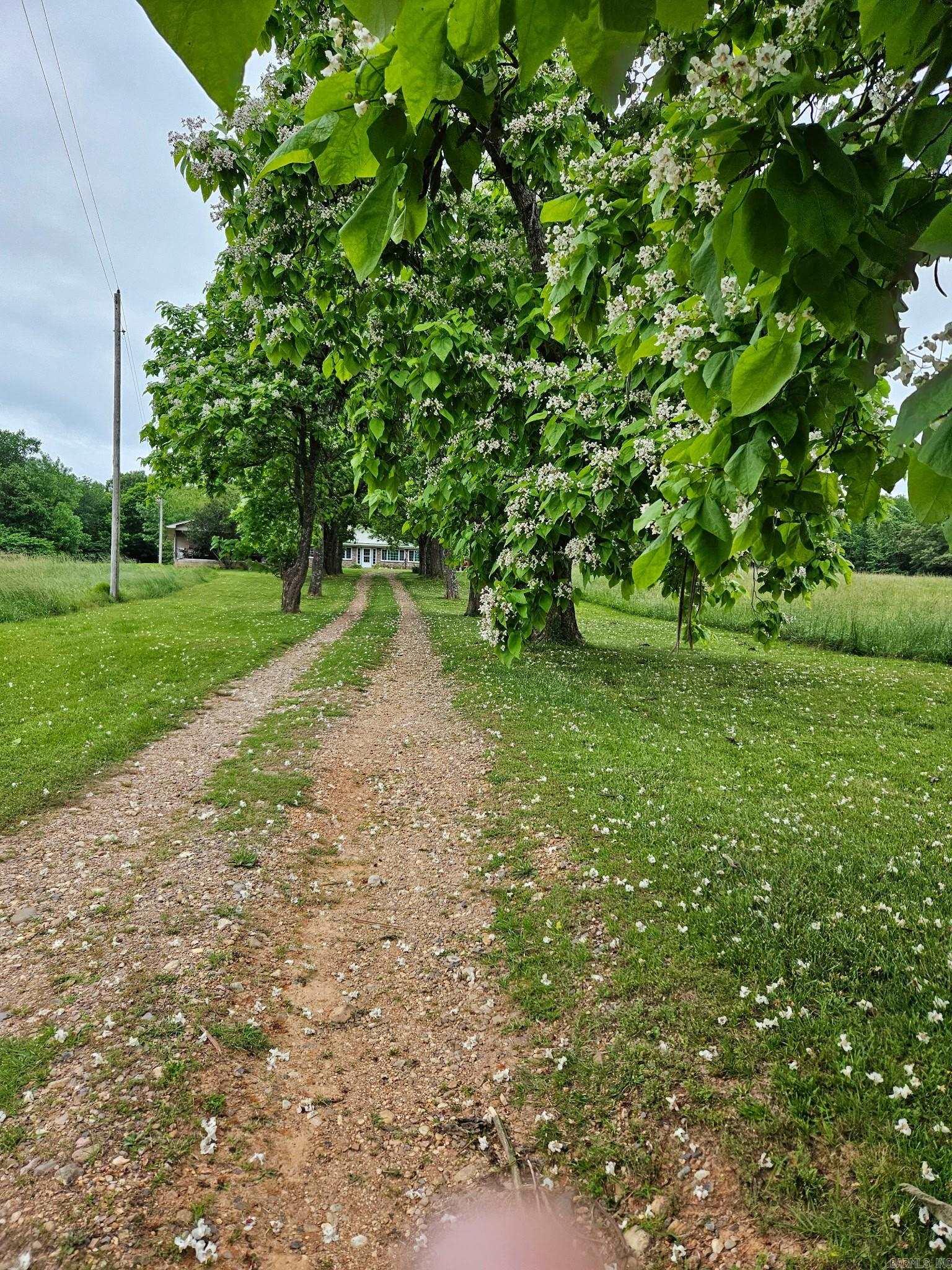 453 Westbrook Road Property Photo 42