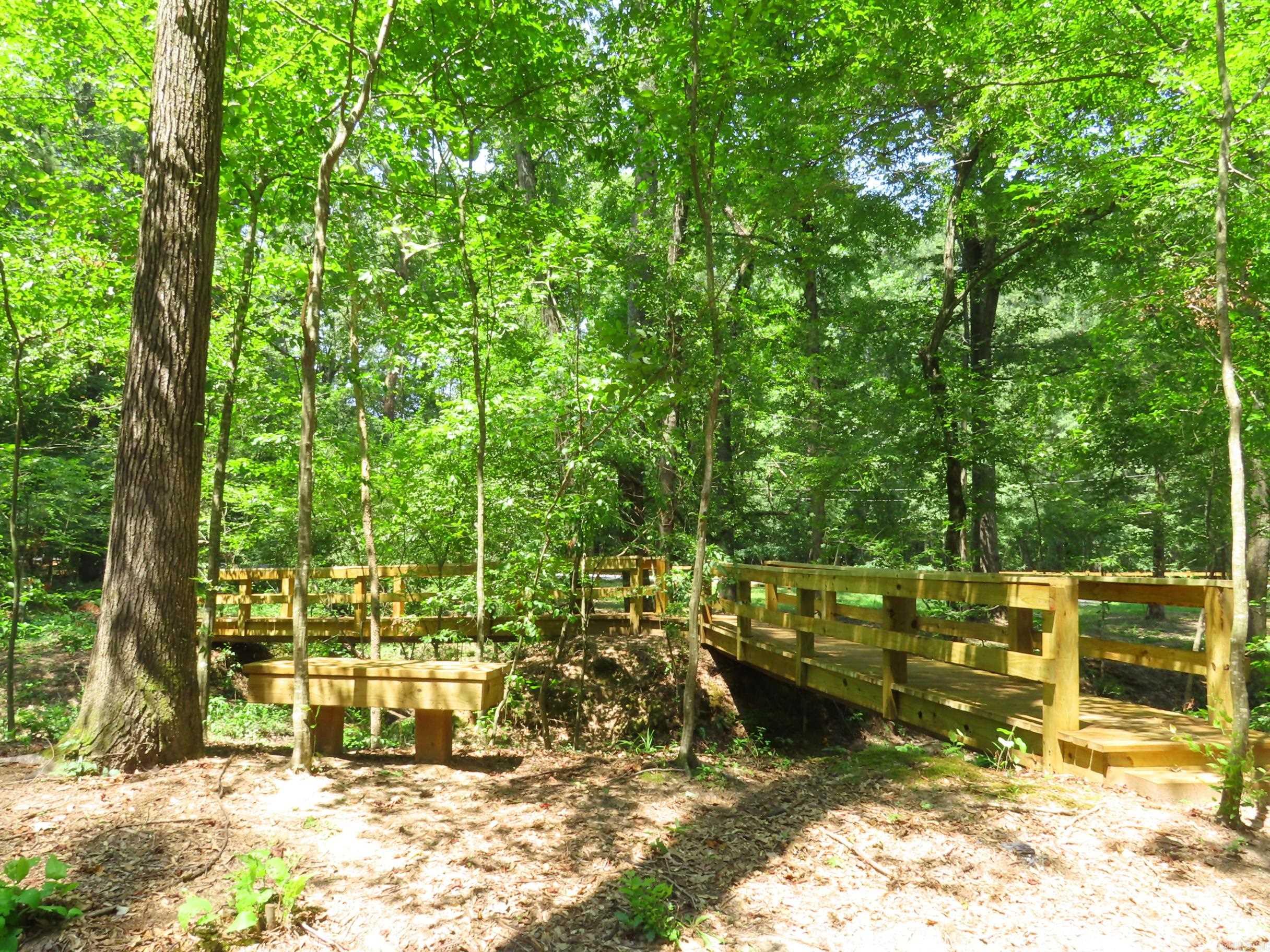 15 Acres Sidell Road Property Photo 9