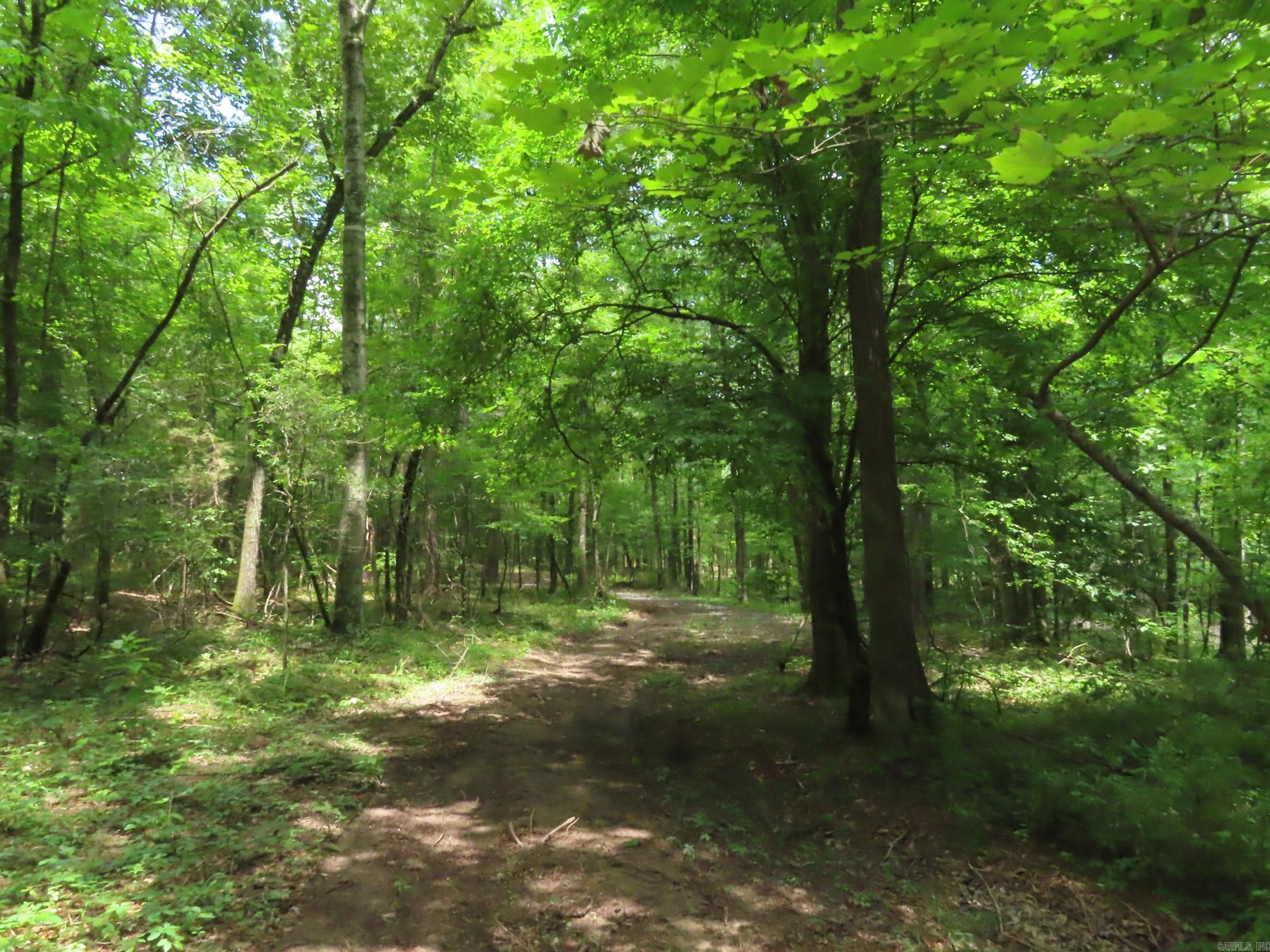 15 Acres Sidell Road Property Photo 11