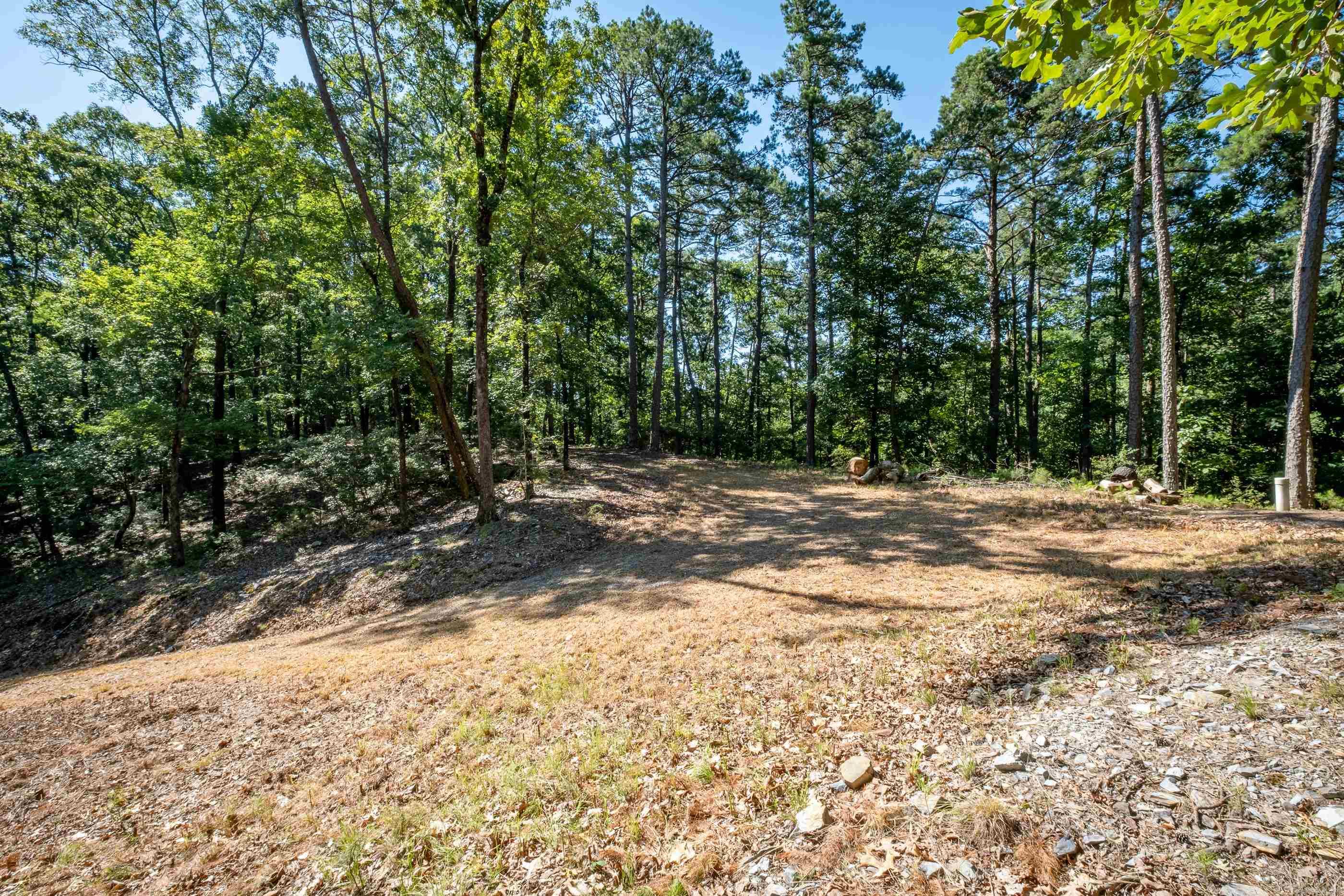 0 Burlingame Road Property Photo 2