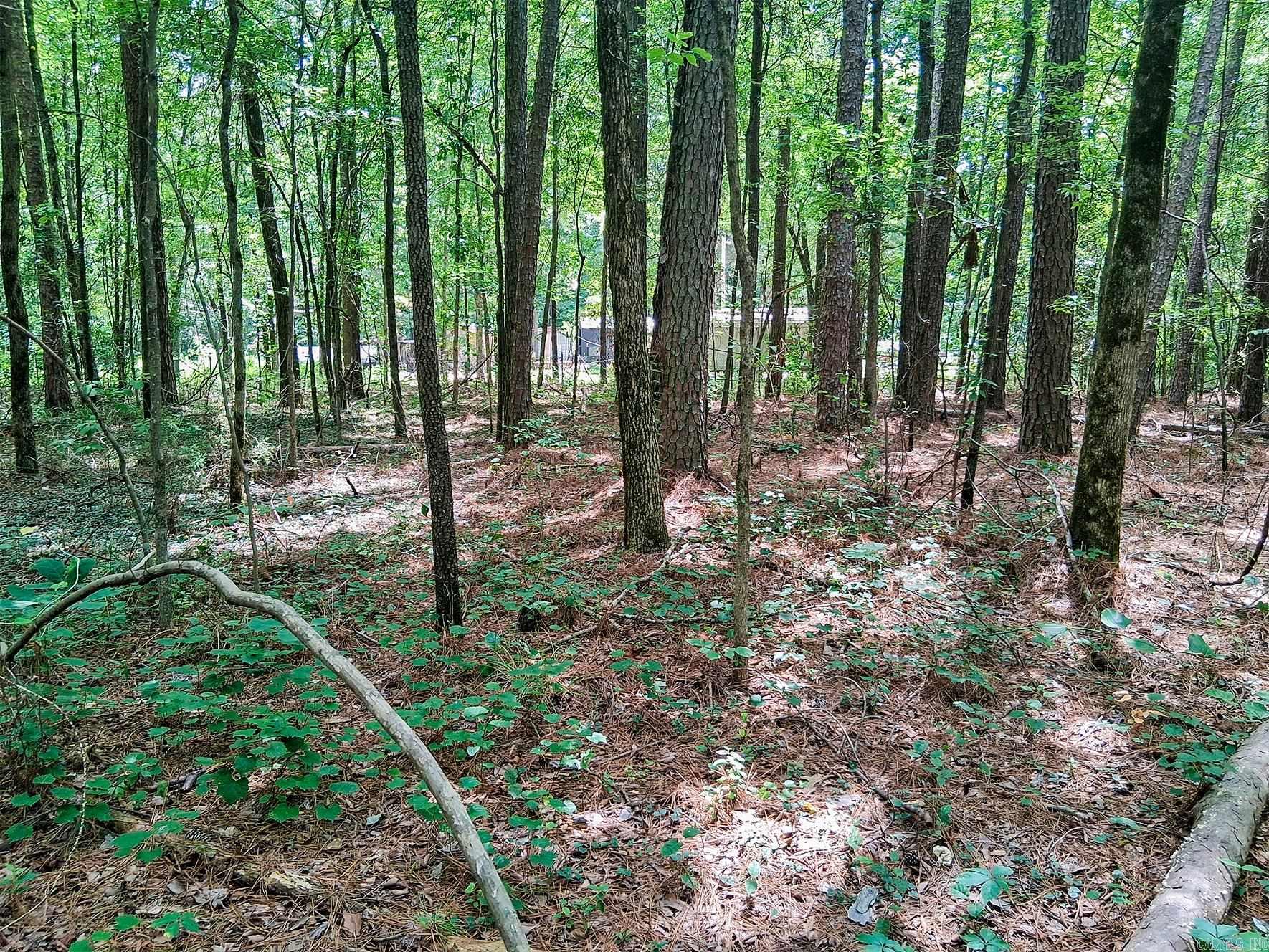 Hensley Loop Property Photo 2