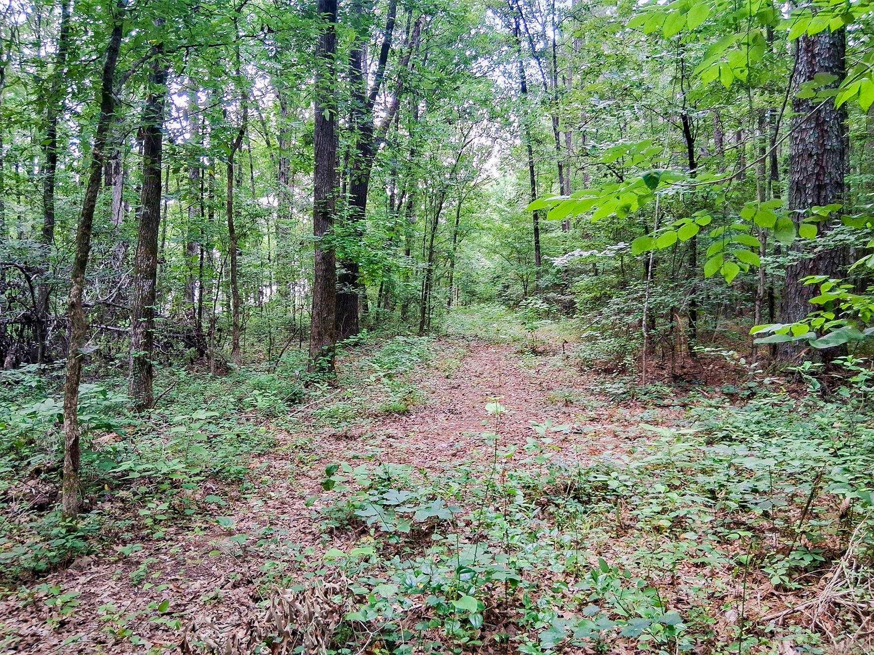 Hensley Loop Property Photo 3