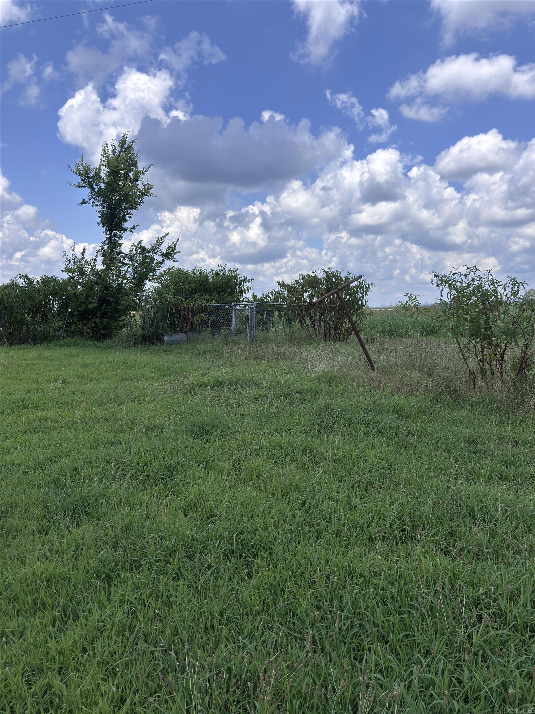 147 Young Loop Property Photo 15