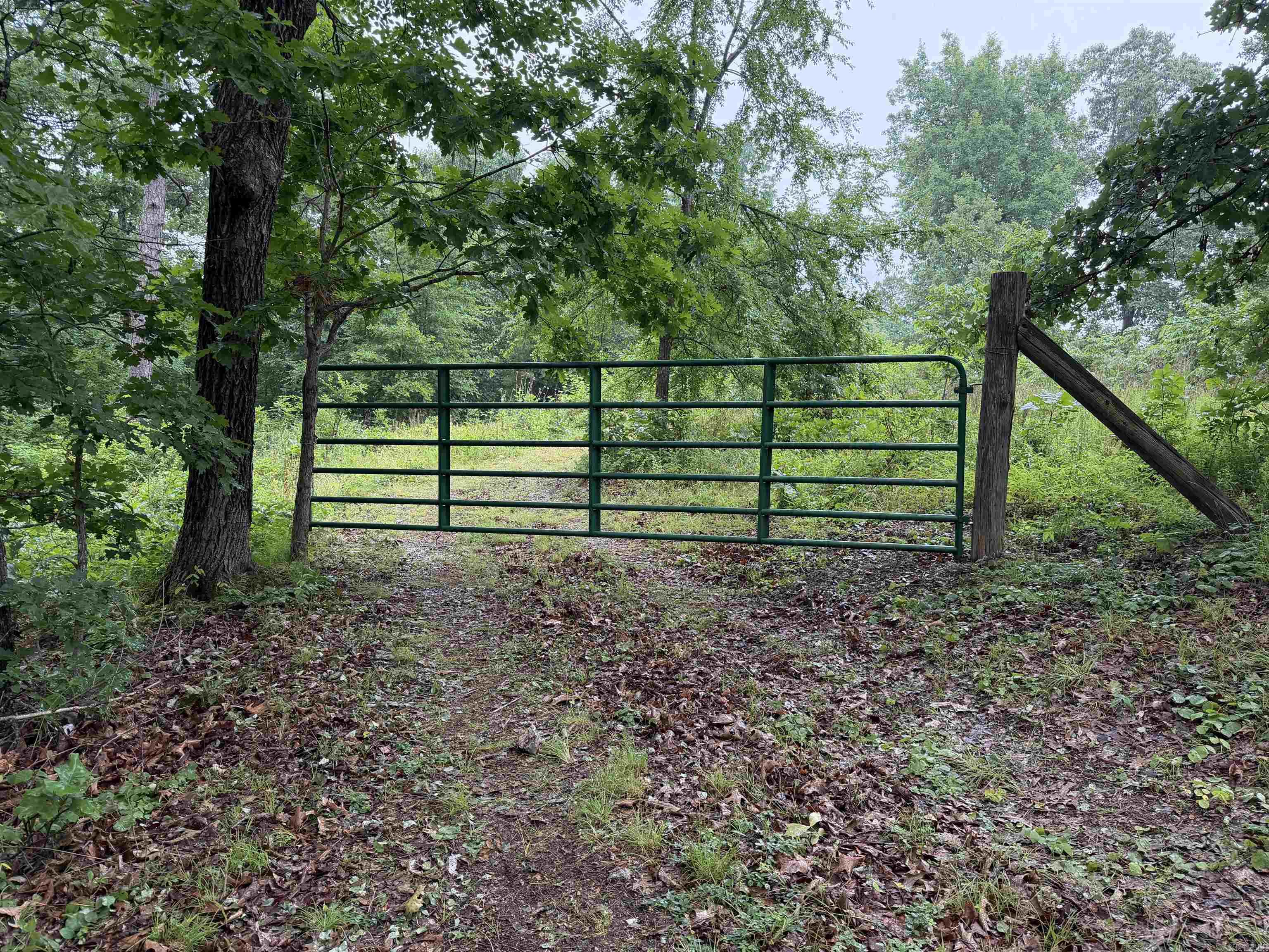 Off Of Morgan Cave Road Property Photo 8