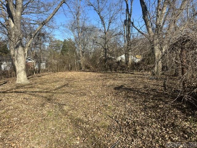 242 N 8th Street Property Photo 6