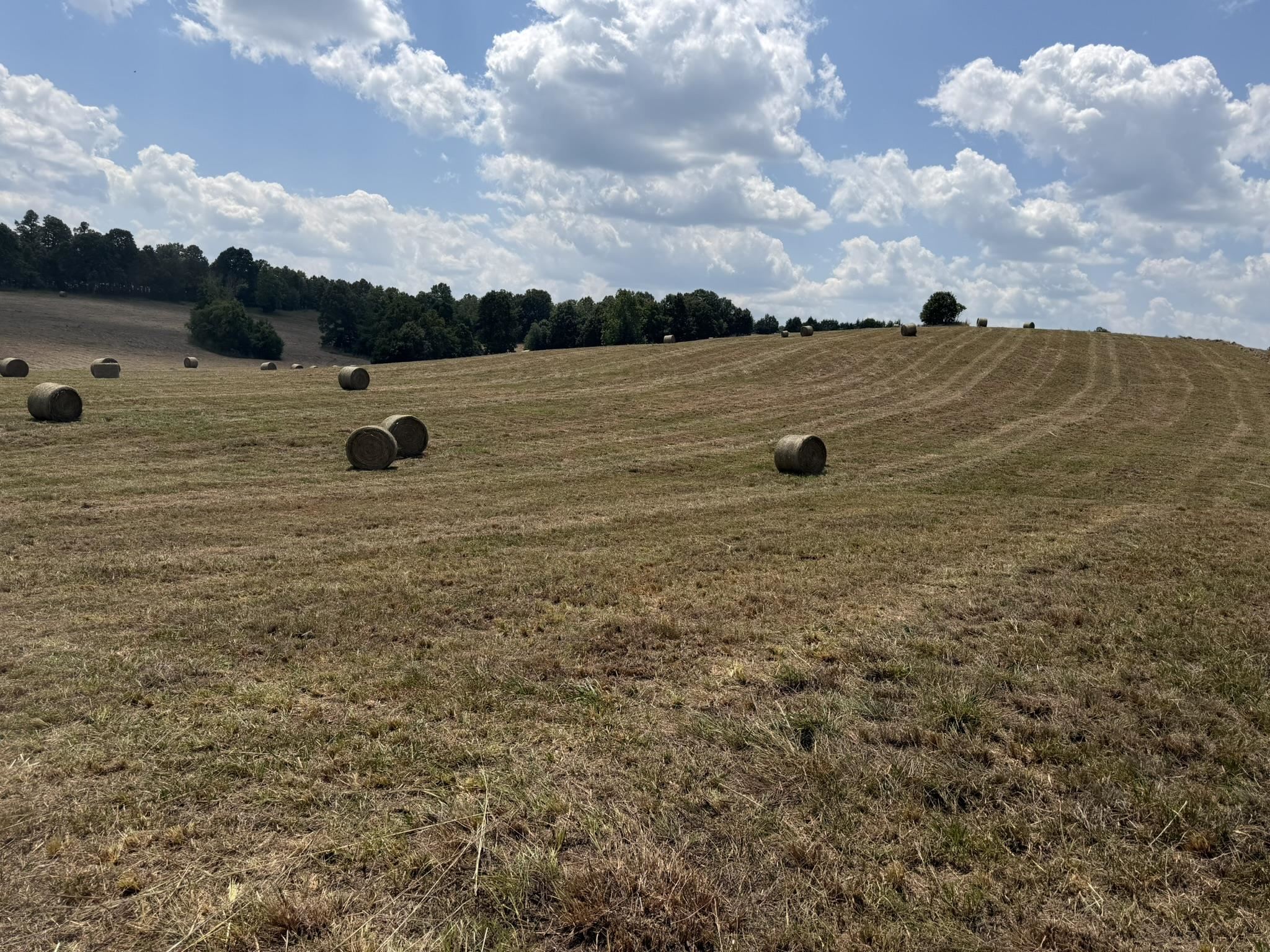 128 Republican Road Property Photo 3