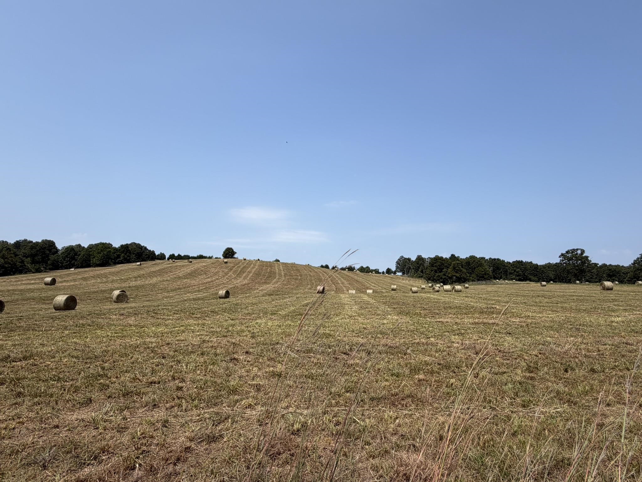 128 Republican Road Property Photo 4