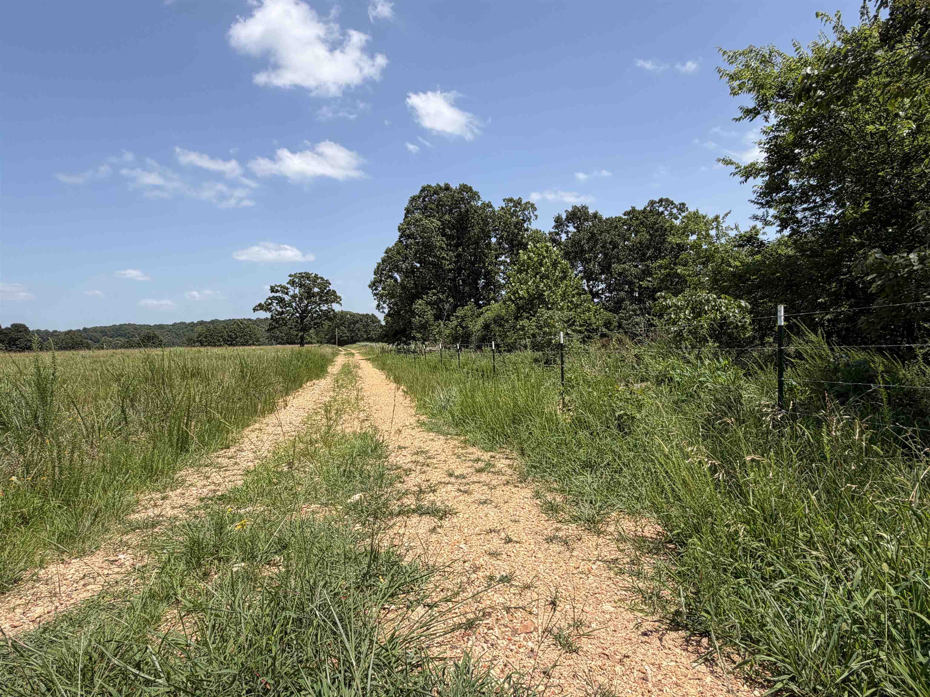 128 Republican Road Property Photo 9