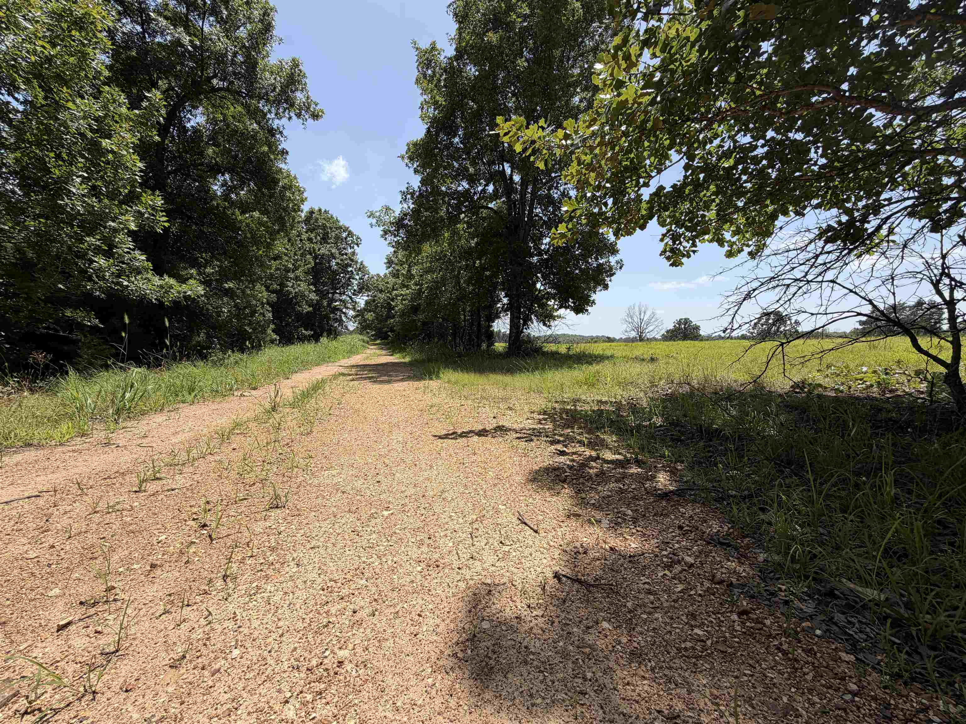 128 Republican Road Property Photo 13