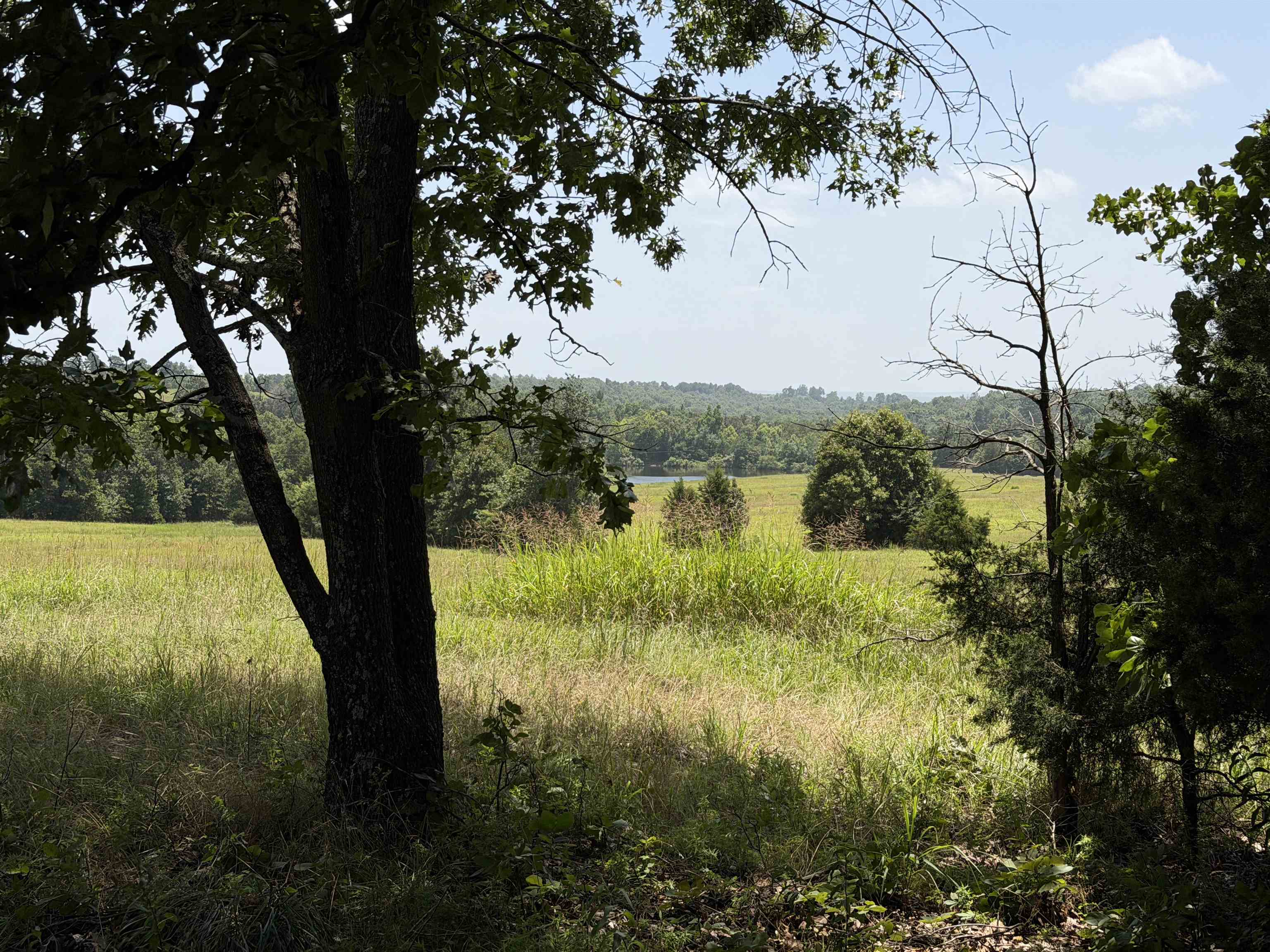 128 Republican Road Property Photo 19