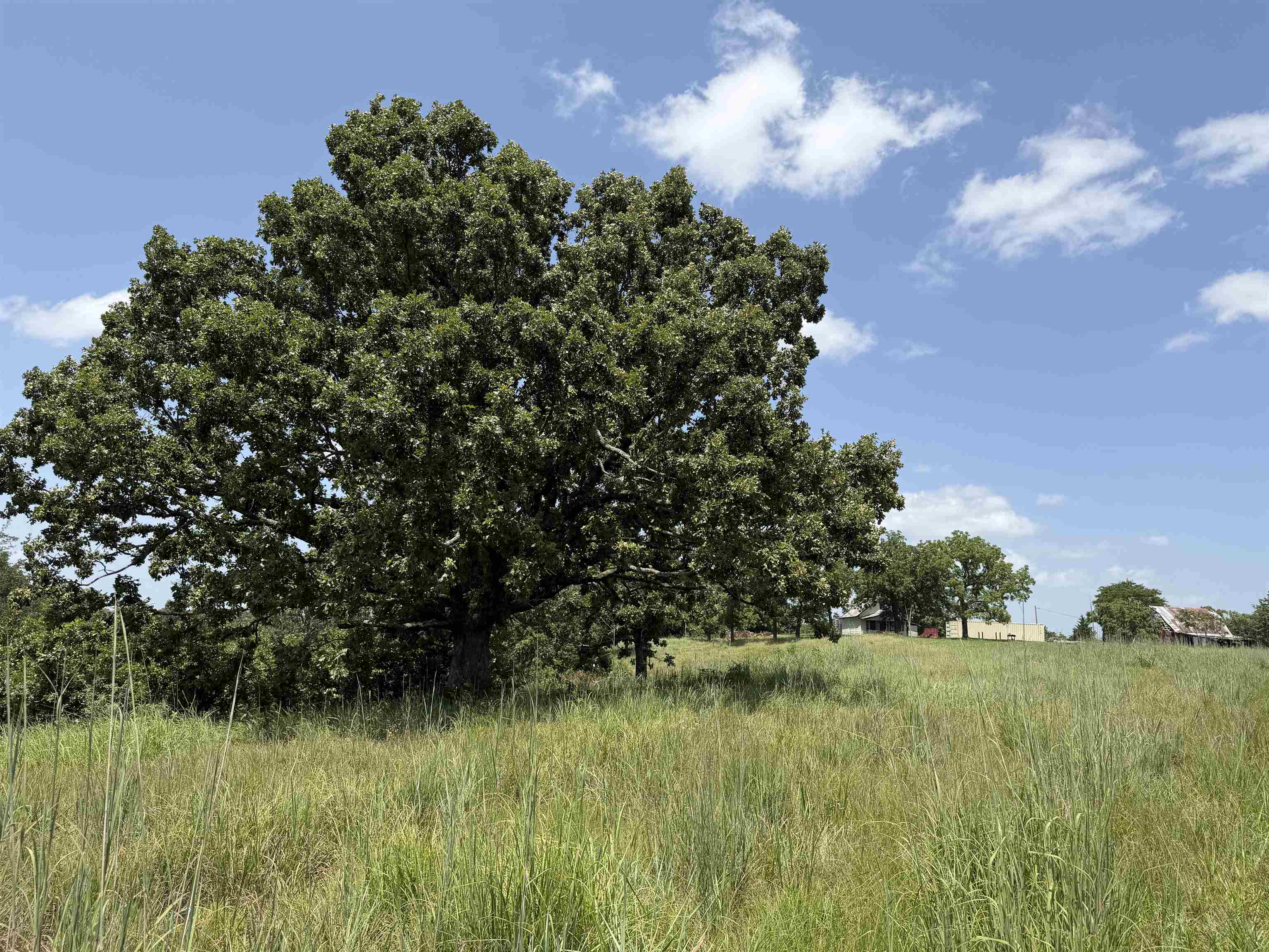 128 Republican Road Property Photo 21