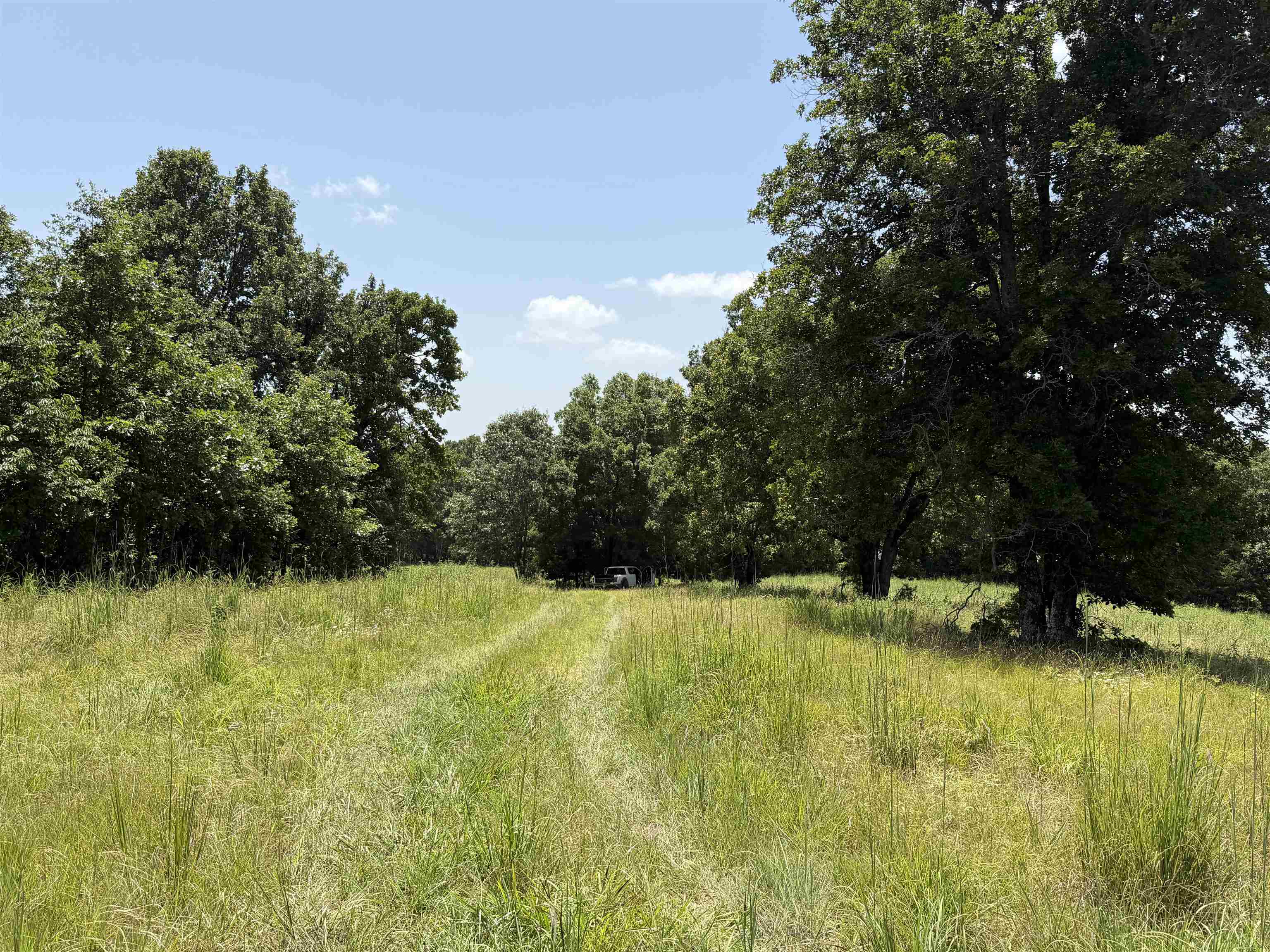 128 Republican Road Property Photo 22