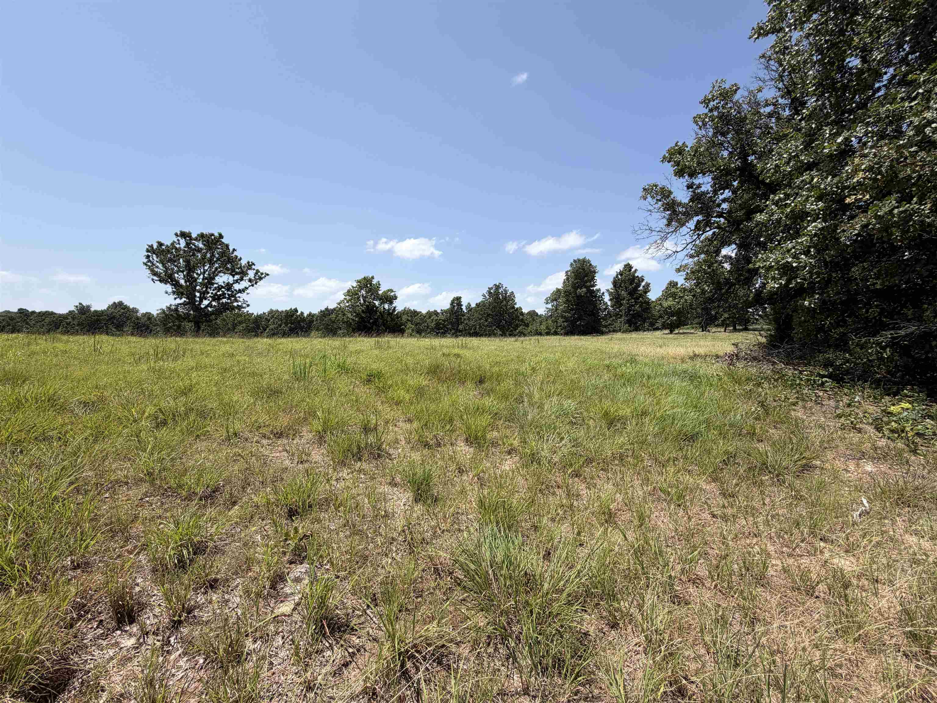 128 Republican Road Property Photo 23