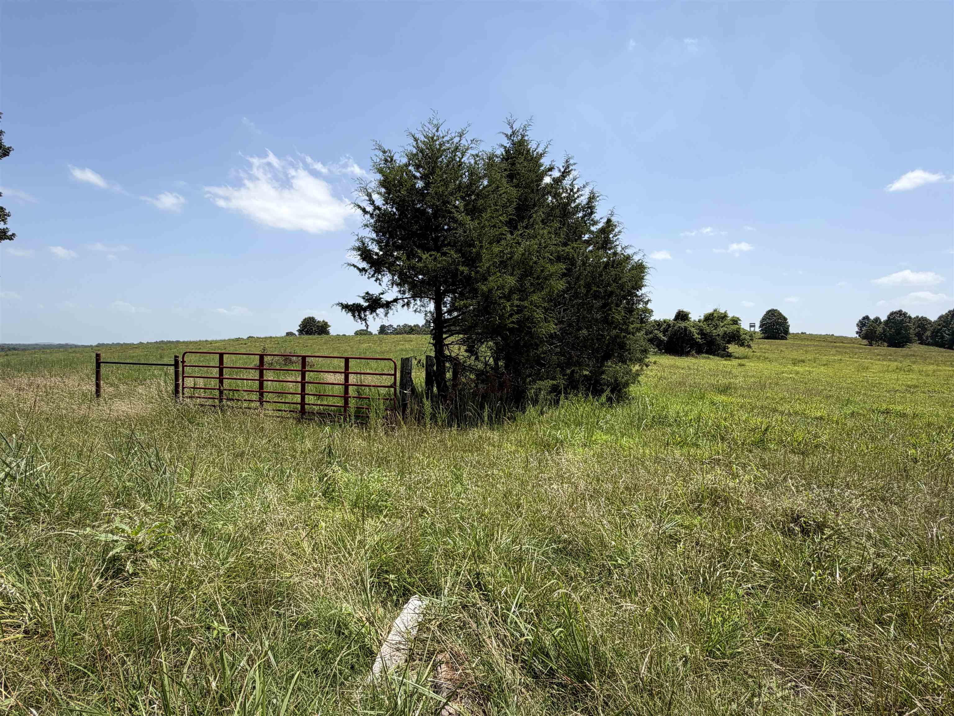128 Republican Road Property Photo 26