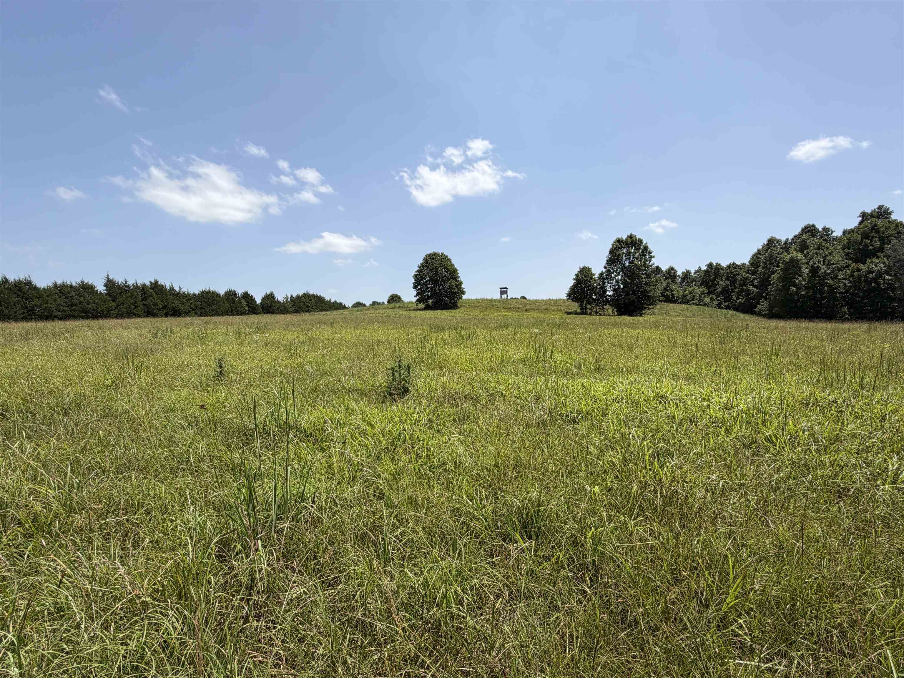 128 Republican Road Property Photo 27