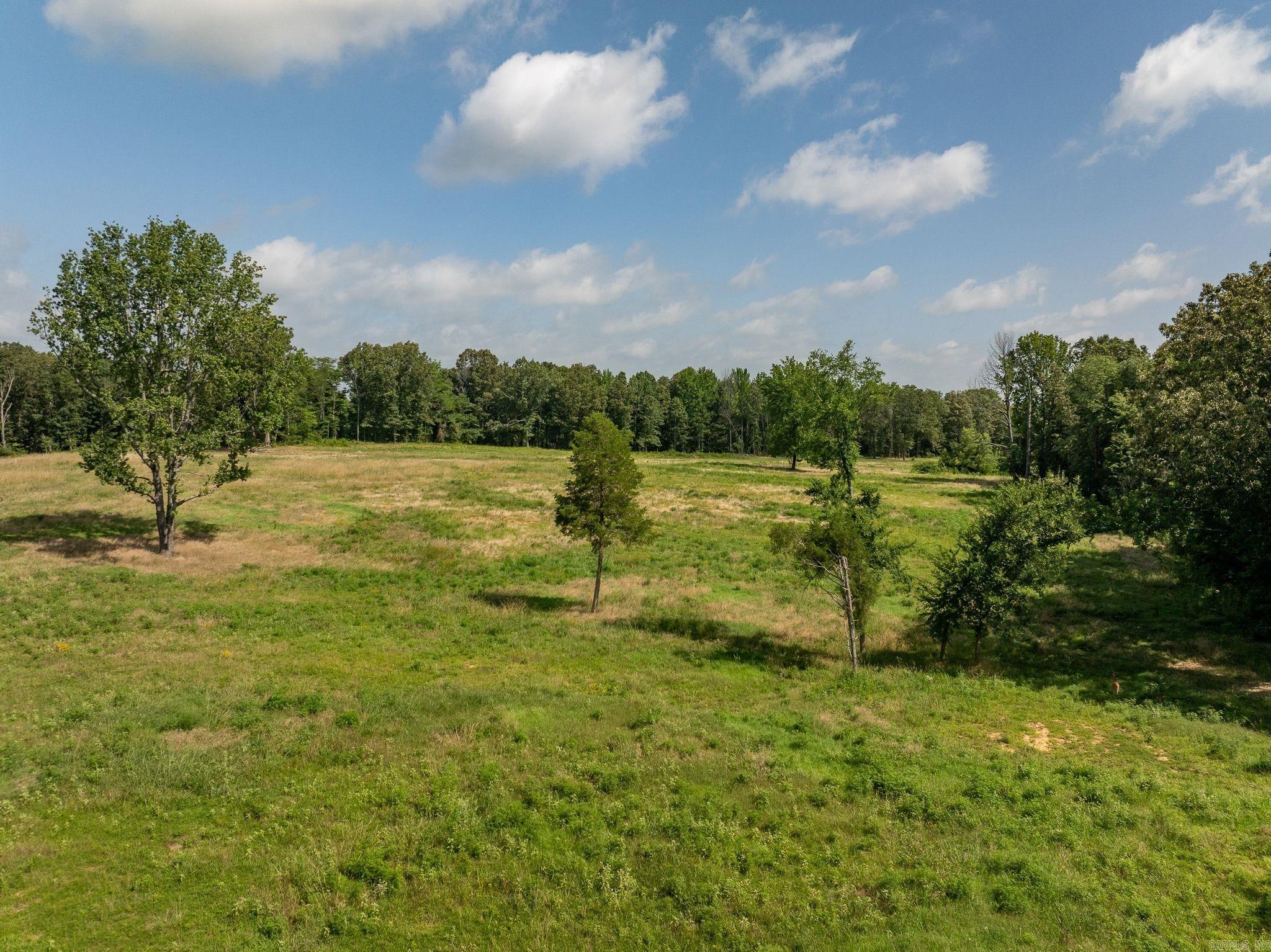 Tbd Greene 324 Road Property Photo 6