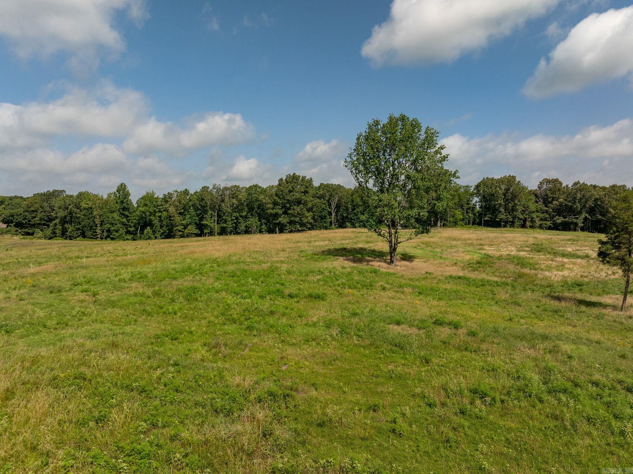 Tbd Greene 324 Road Property Photo 7