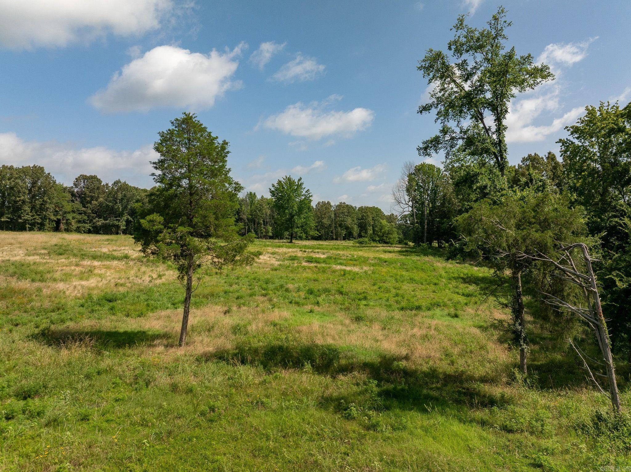Tbd Greene 324 Road Property Photo 9