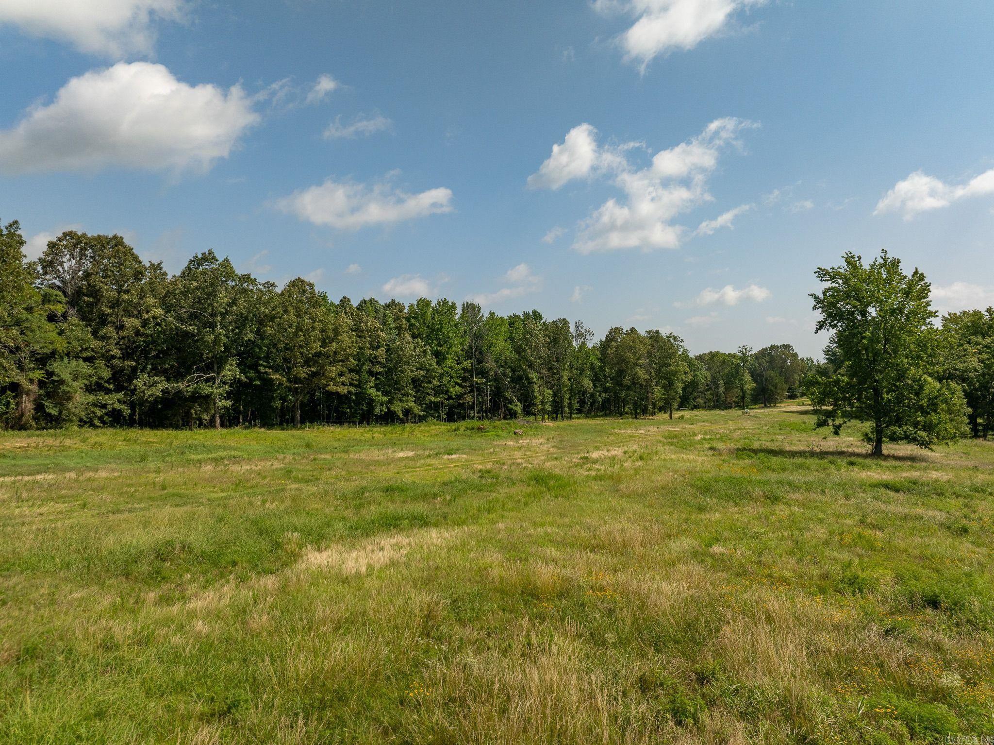 Tbd Greene 324 Road Property Photo 10