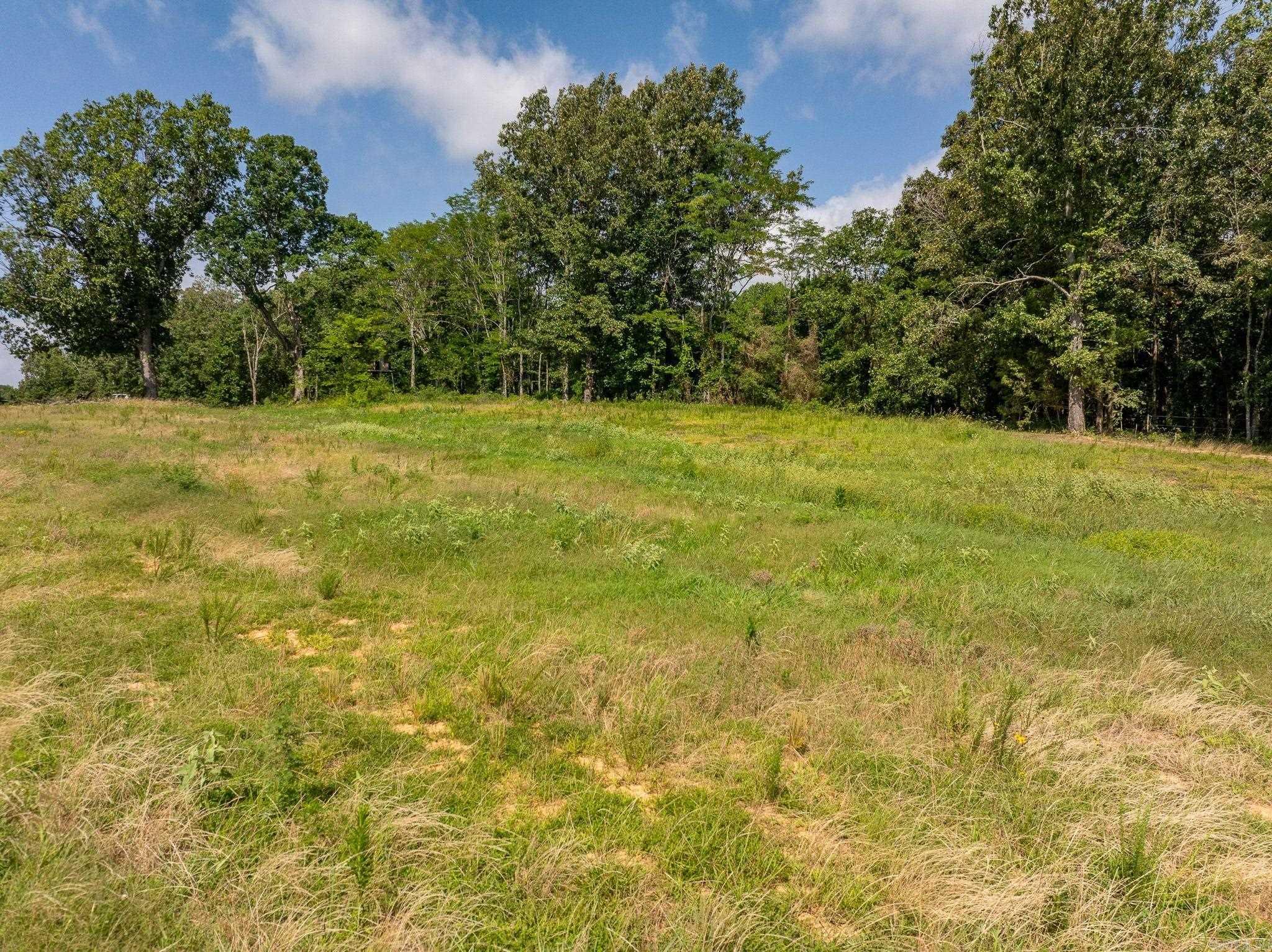 Tbd Greene 324 Road Property Photo 13