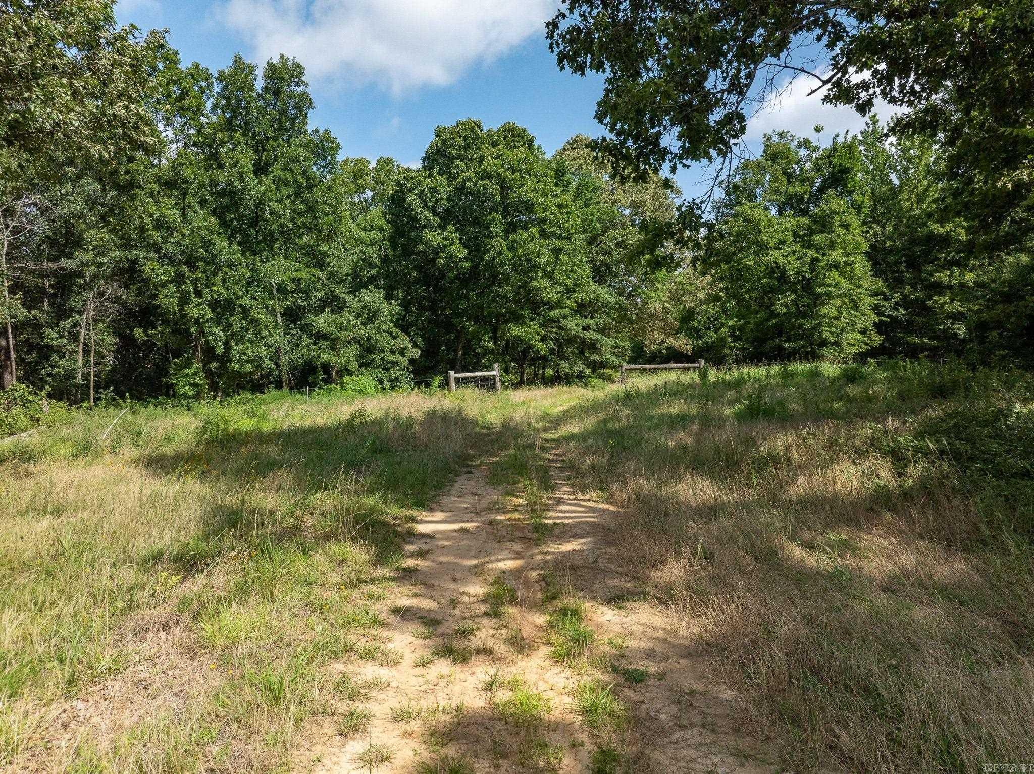 Tbd Greene 324 Road Property Photo 16