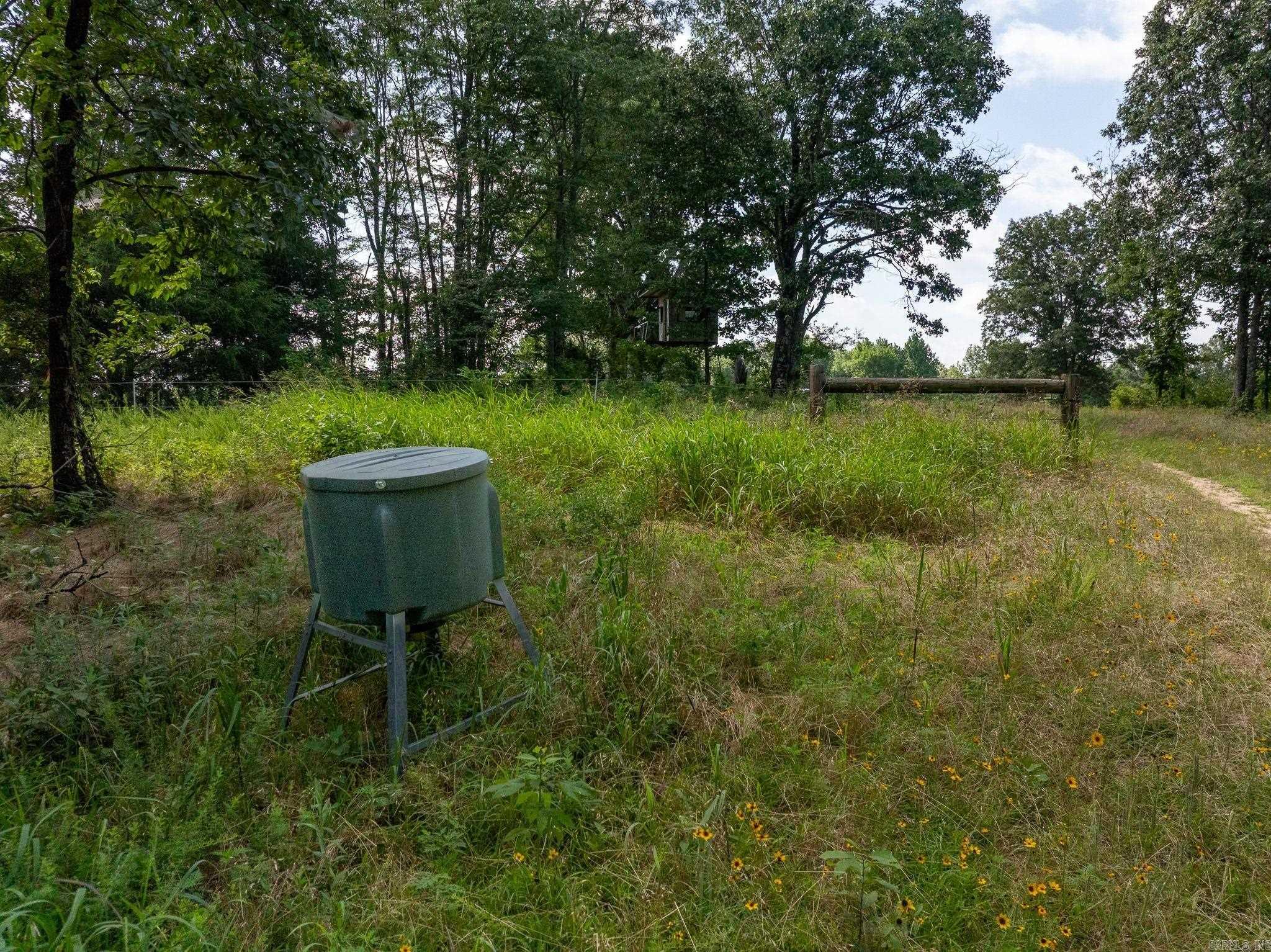 Tbd Greene 324 Road Property Photo 17