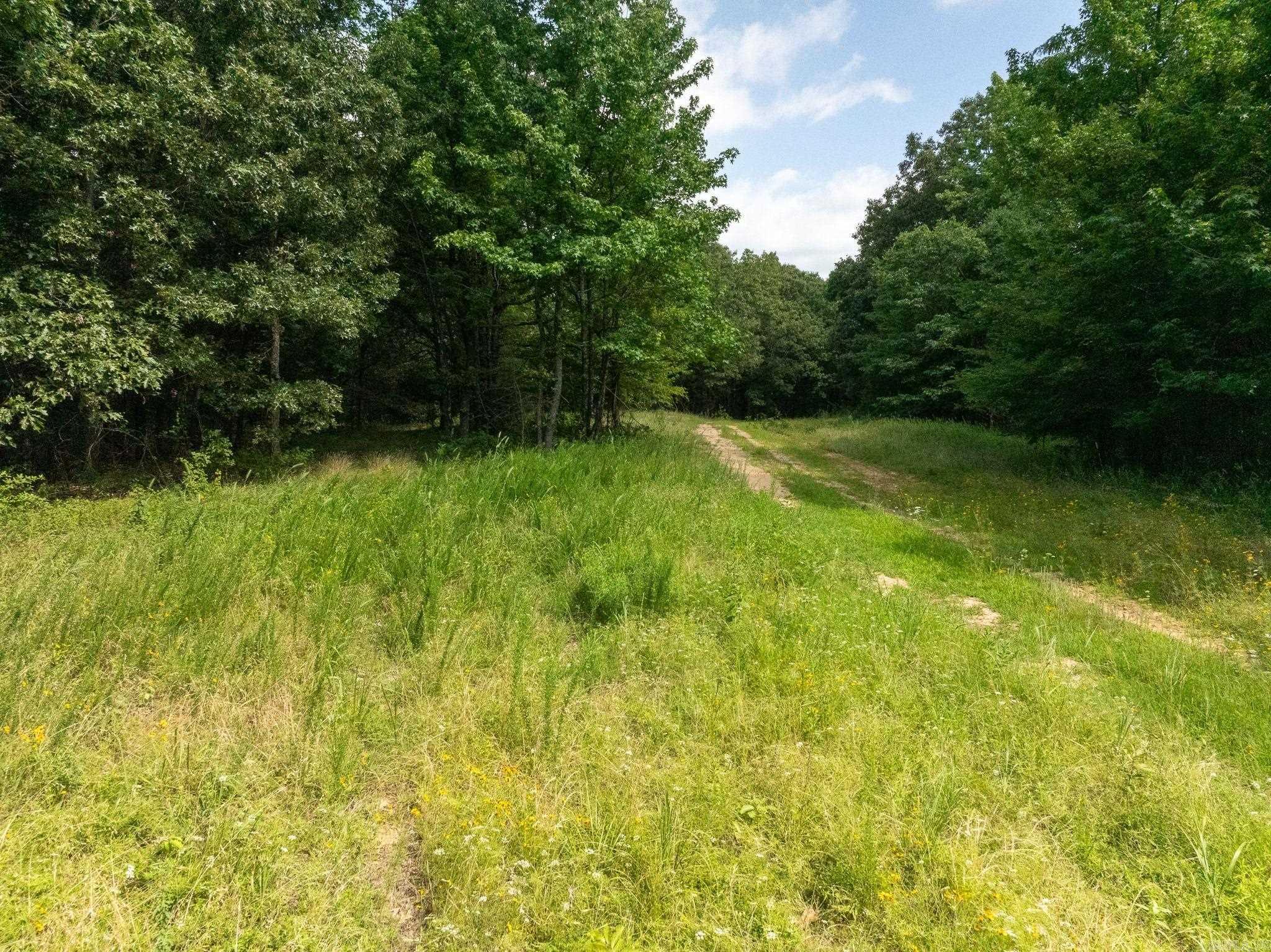 Tbd Greene 324 Road Property Photo 23