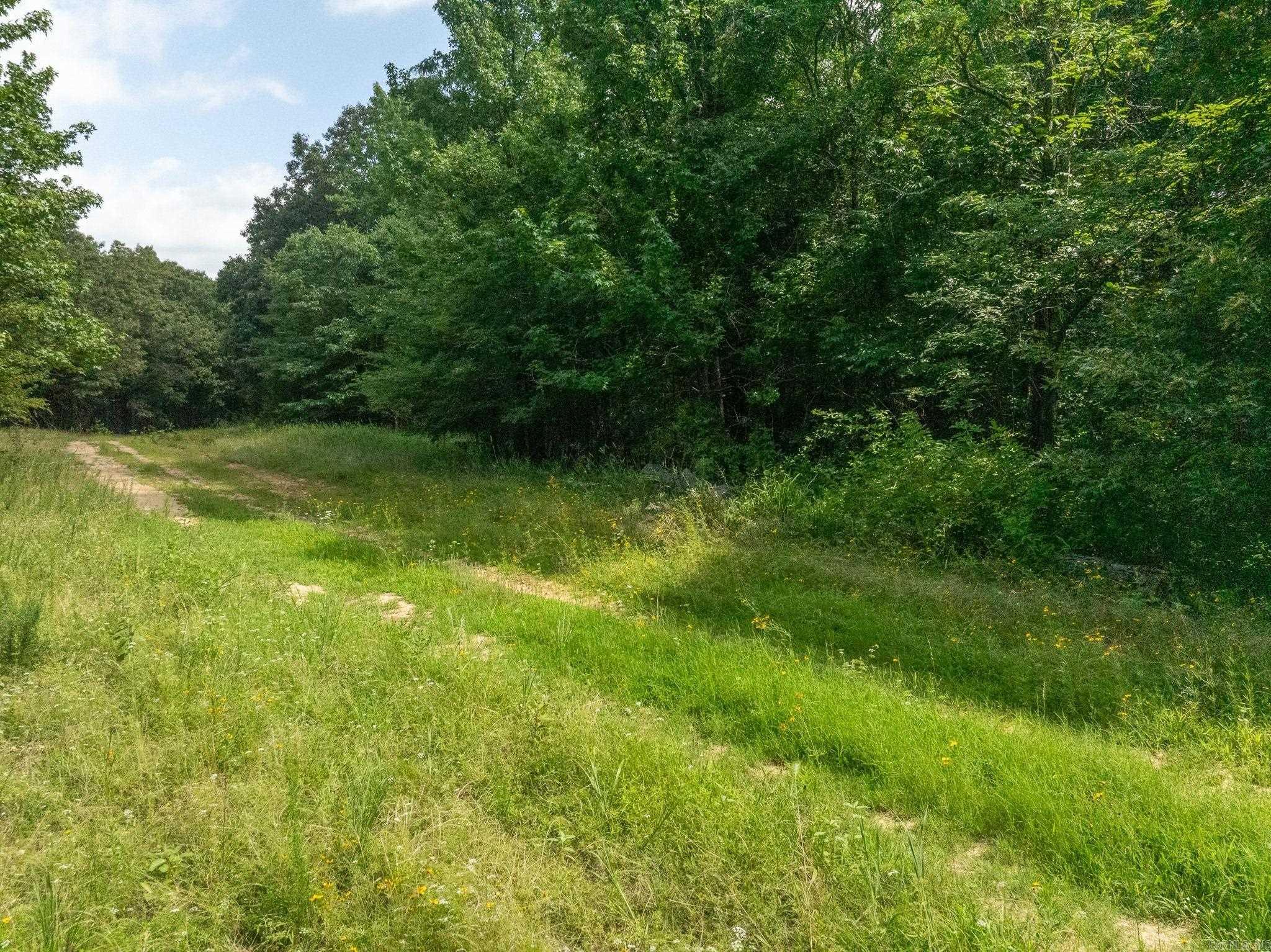 Tbd Greene 324 Road Property Photo 24