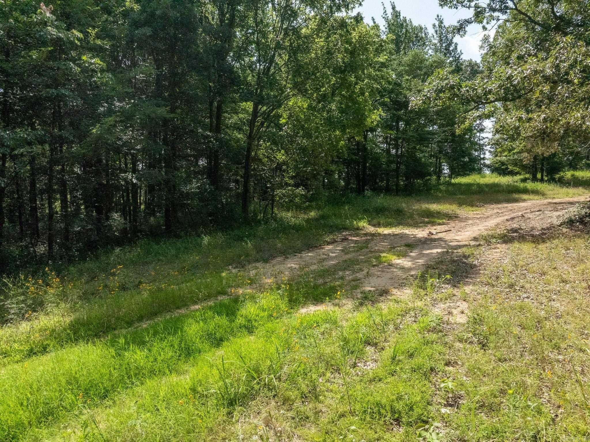 Tbd Greene 324 Road Property Photo 25