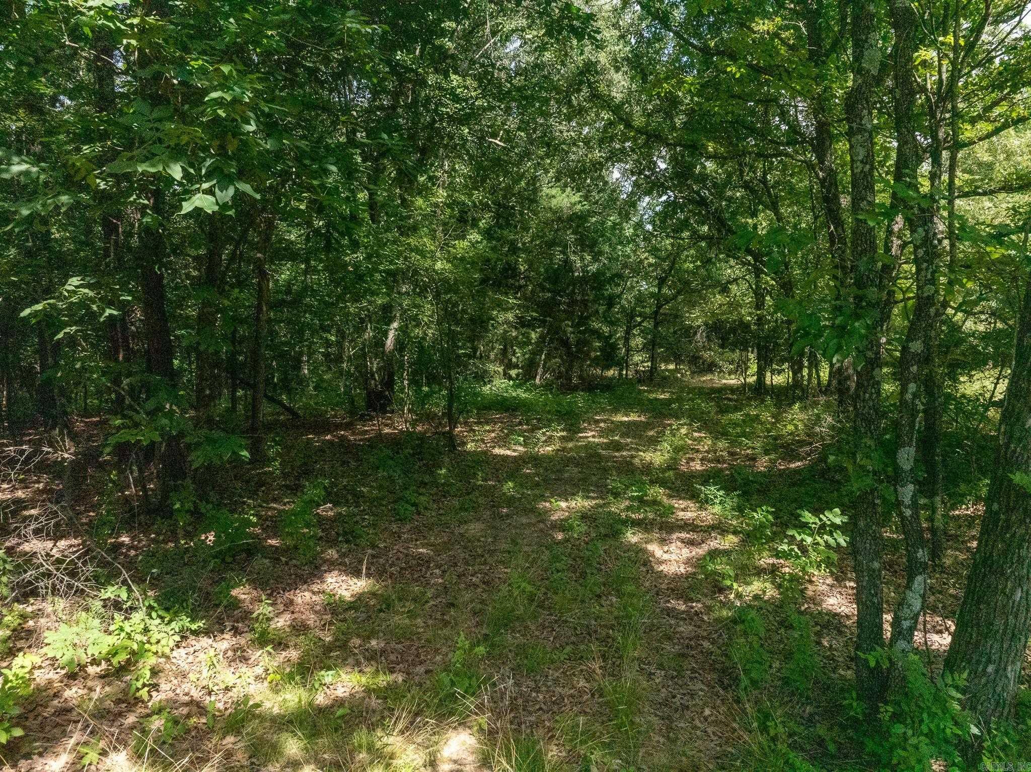 Tbd Greene 324 Road Property Photo 26