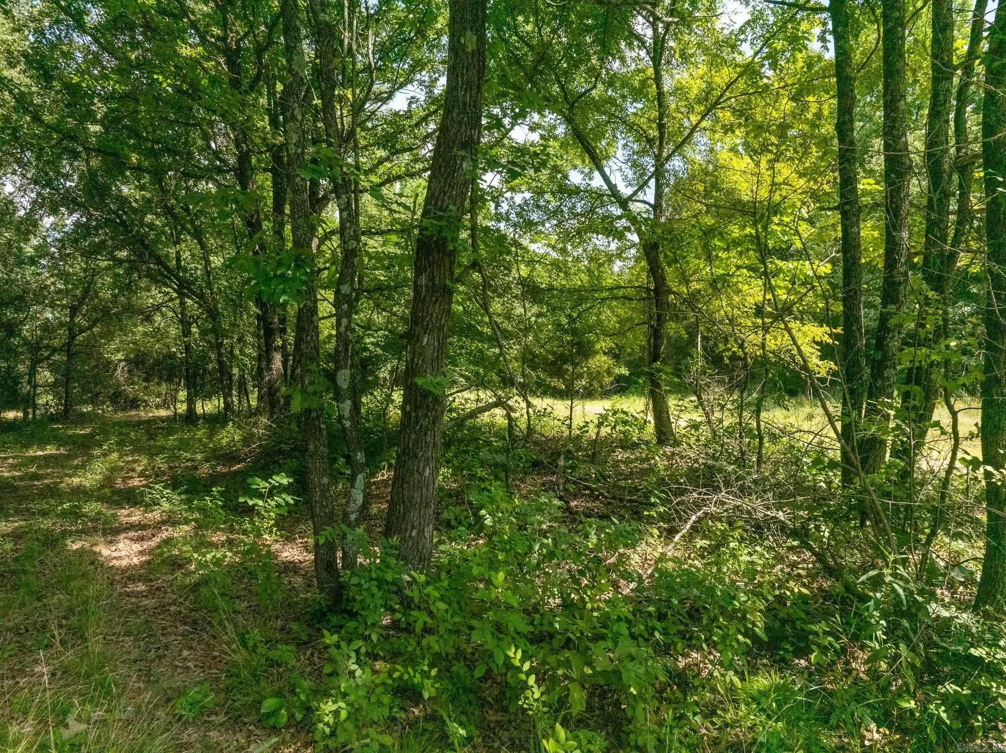 Tbd Greene 324 Road Property Photo 27