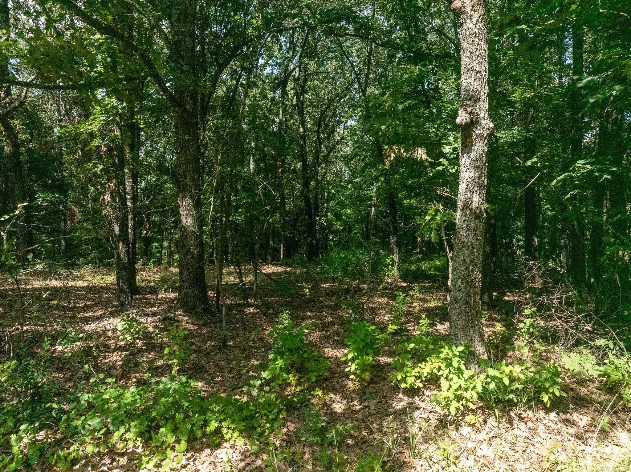 Tbd Greene 324 Road Property Photo 28