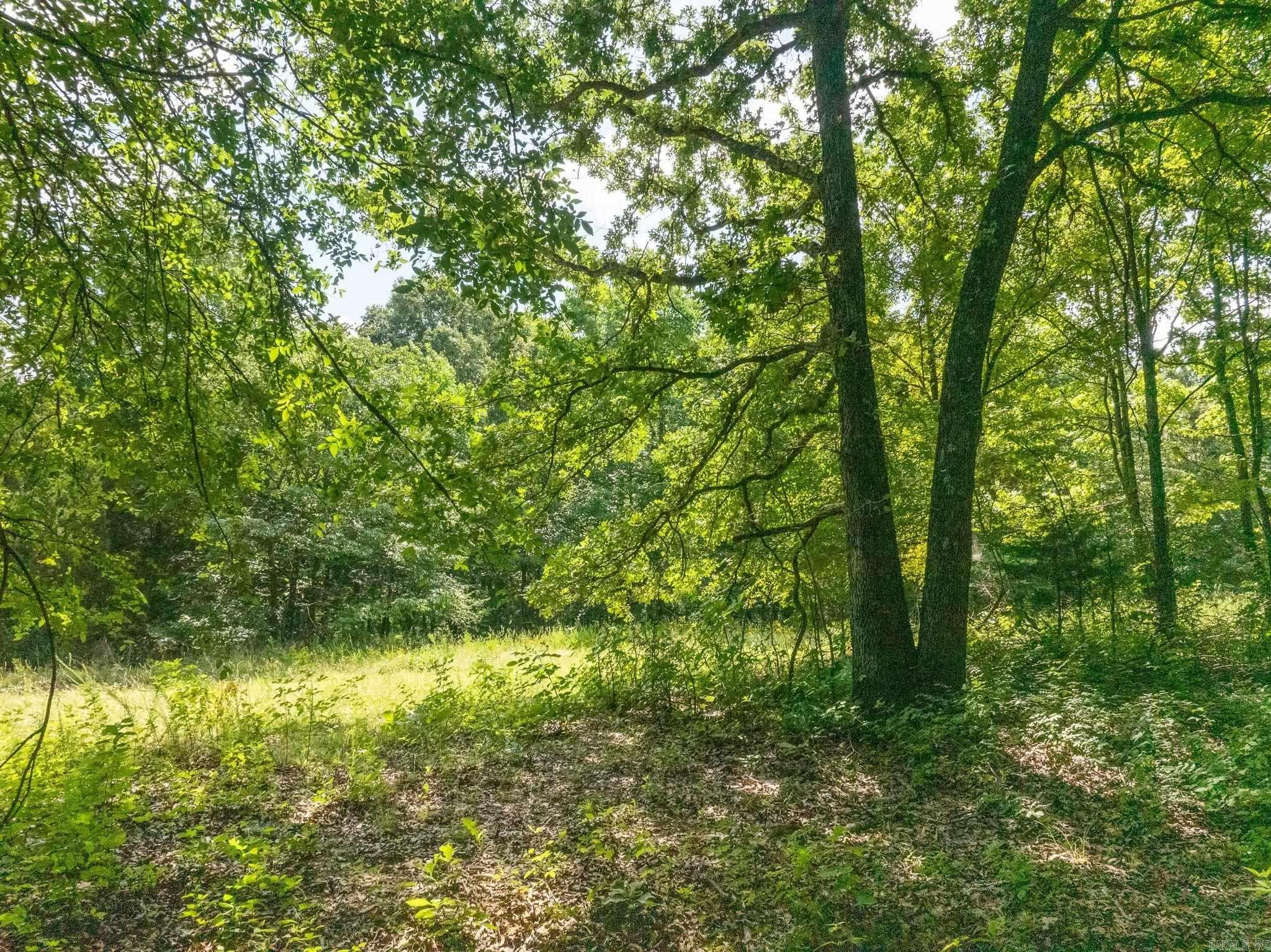 Tbd Greene 324 Road Property Photo 30