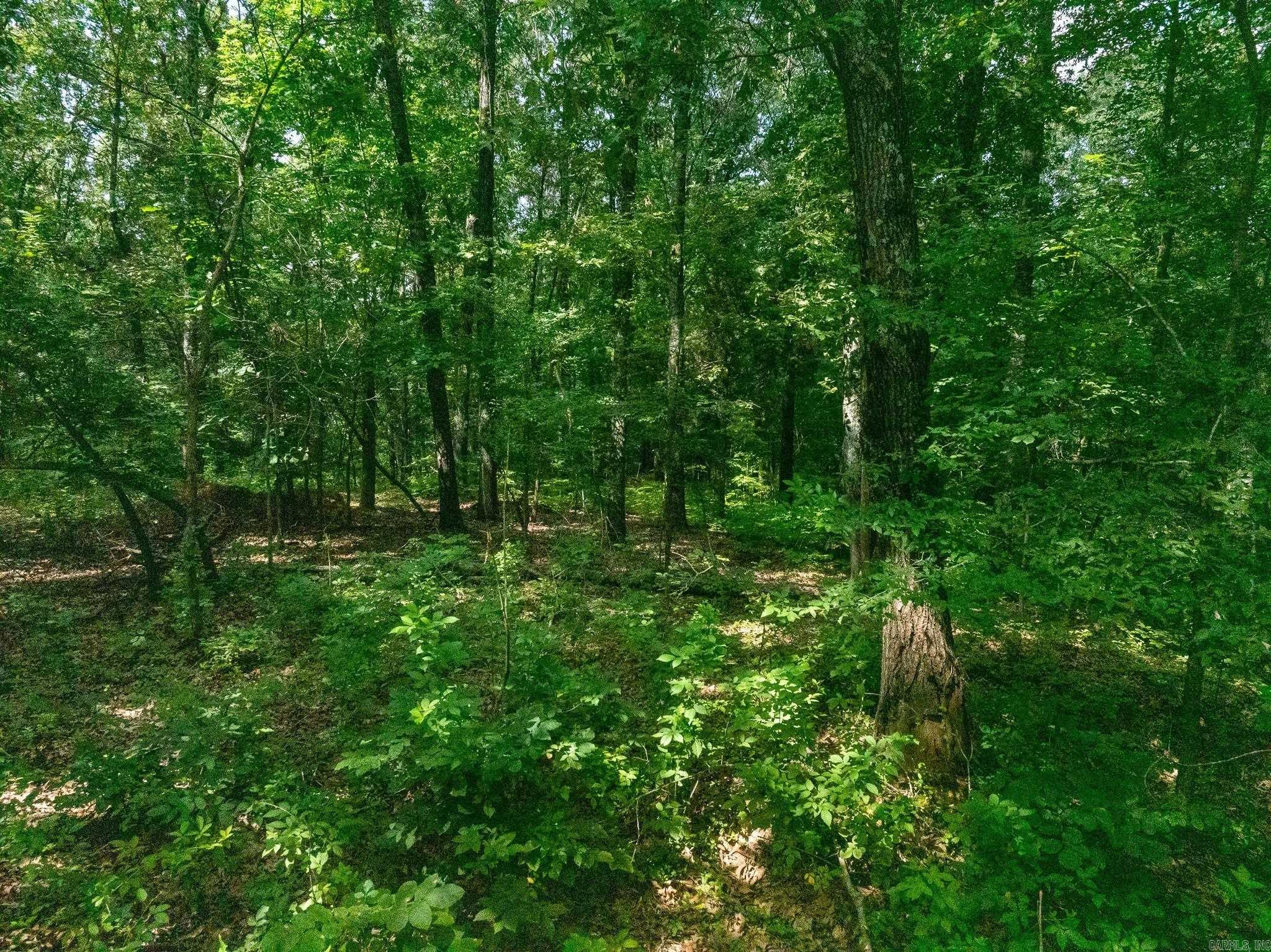 Tbd Greene 324 Road Property Photo 31