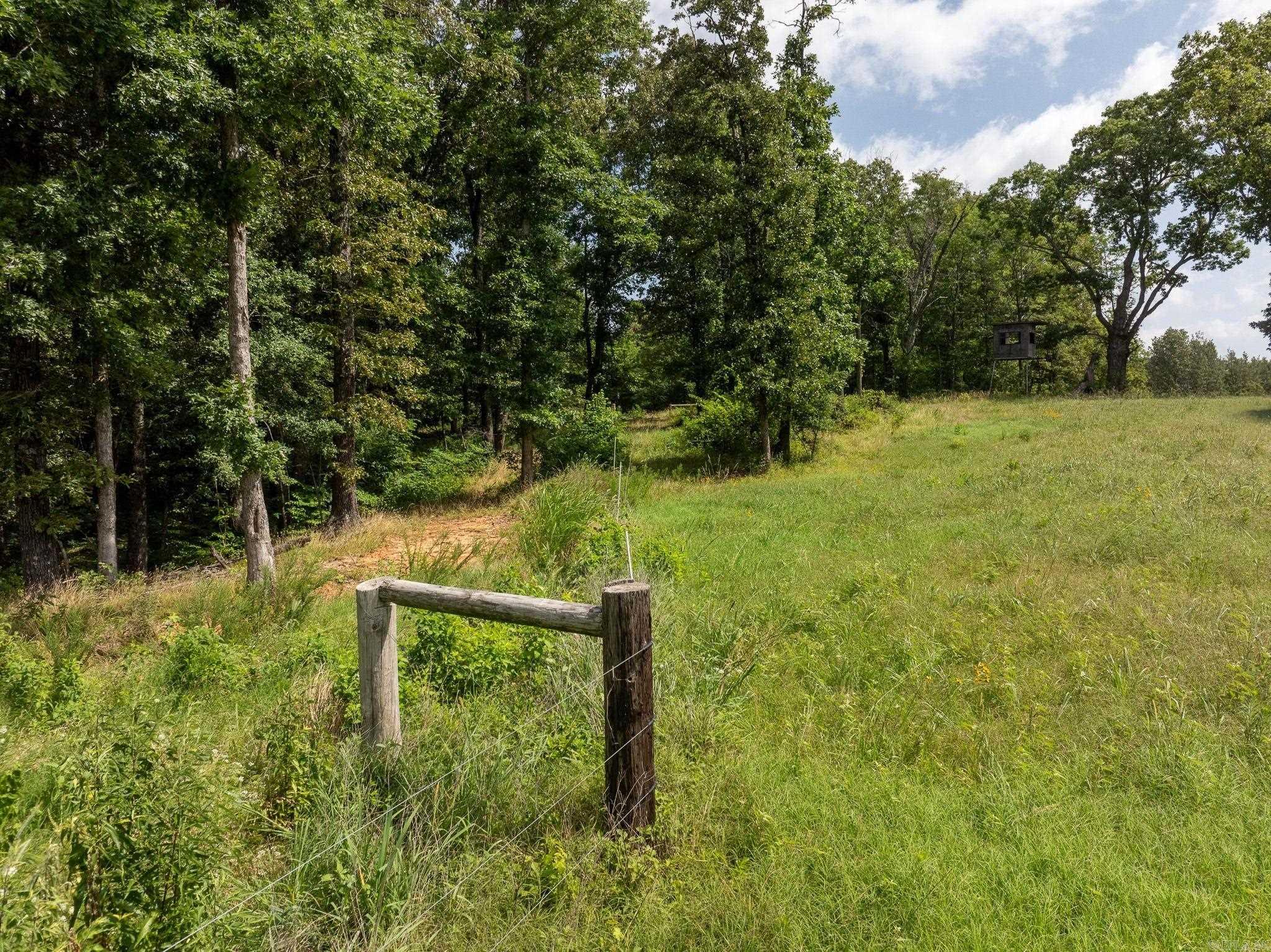 Tbd Greene 324 Road Property Photo 35