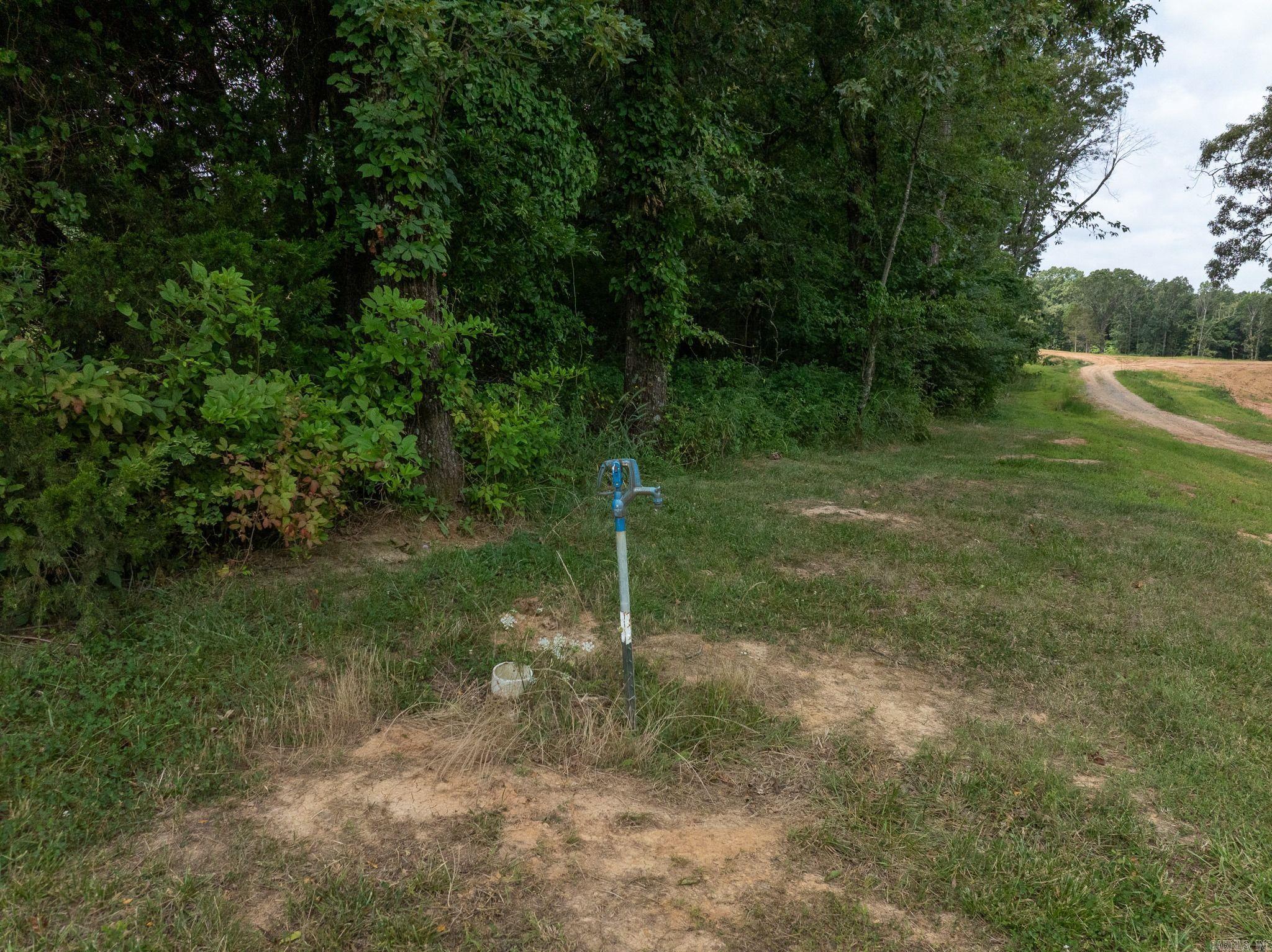 Tbd Greene 324 Road Property Photo 41