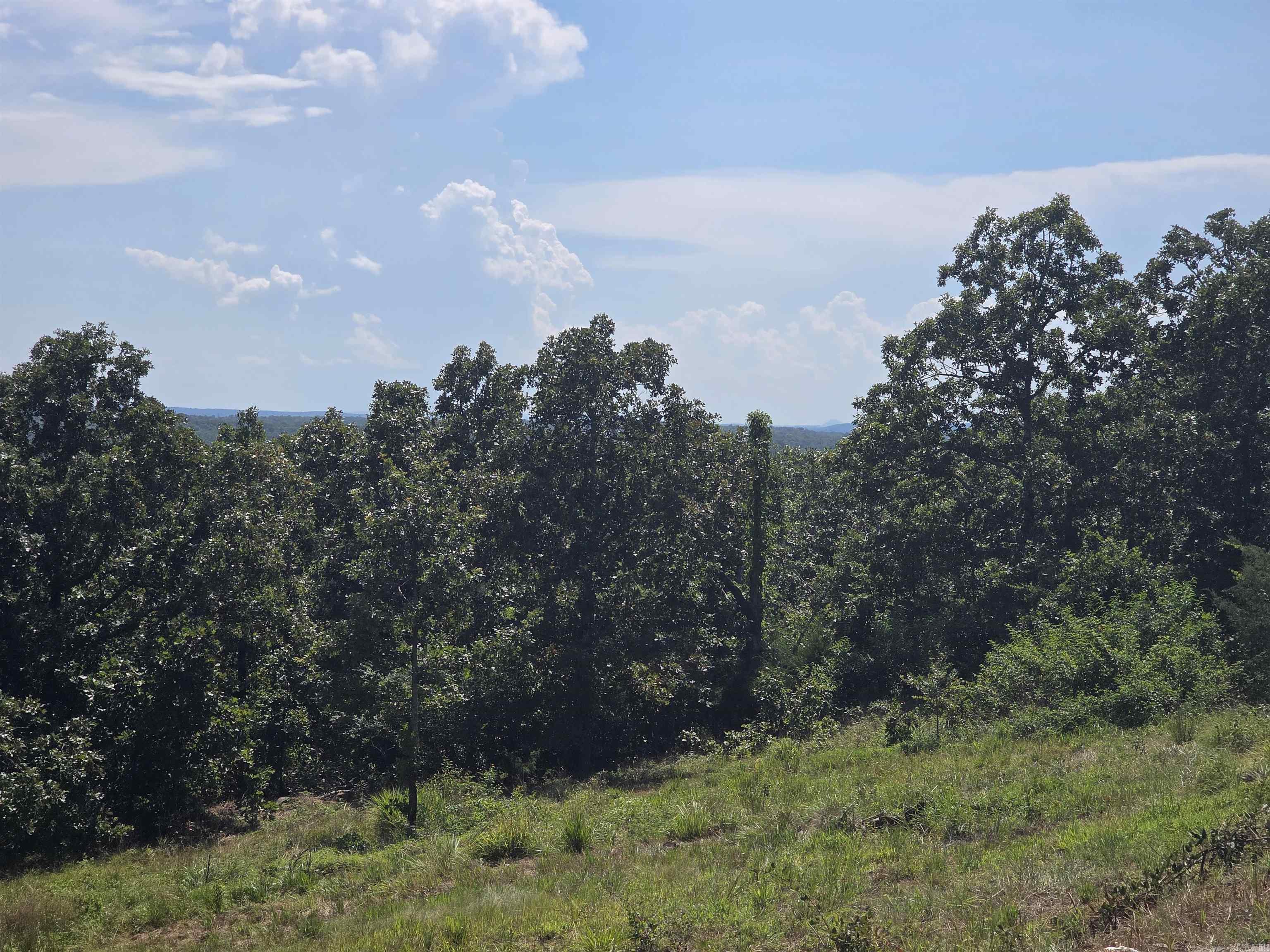 14307 Parnell Road Property Photo 37